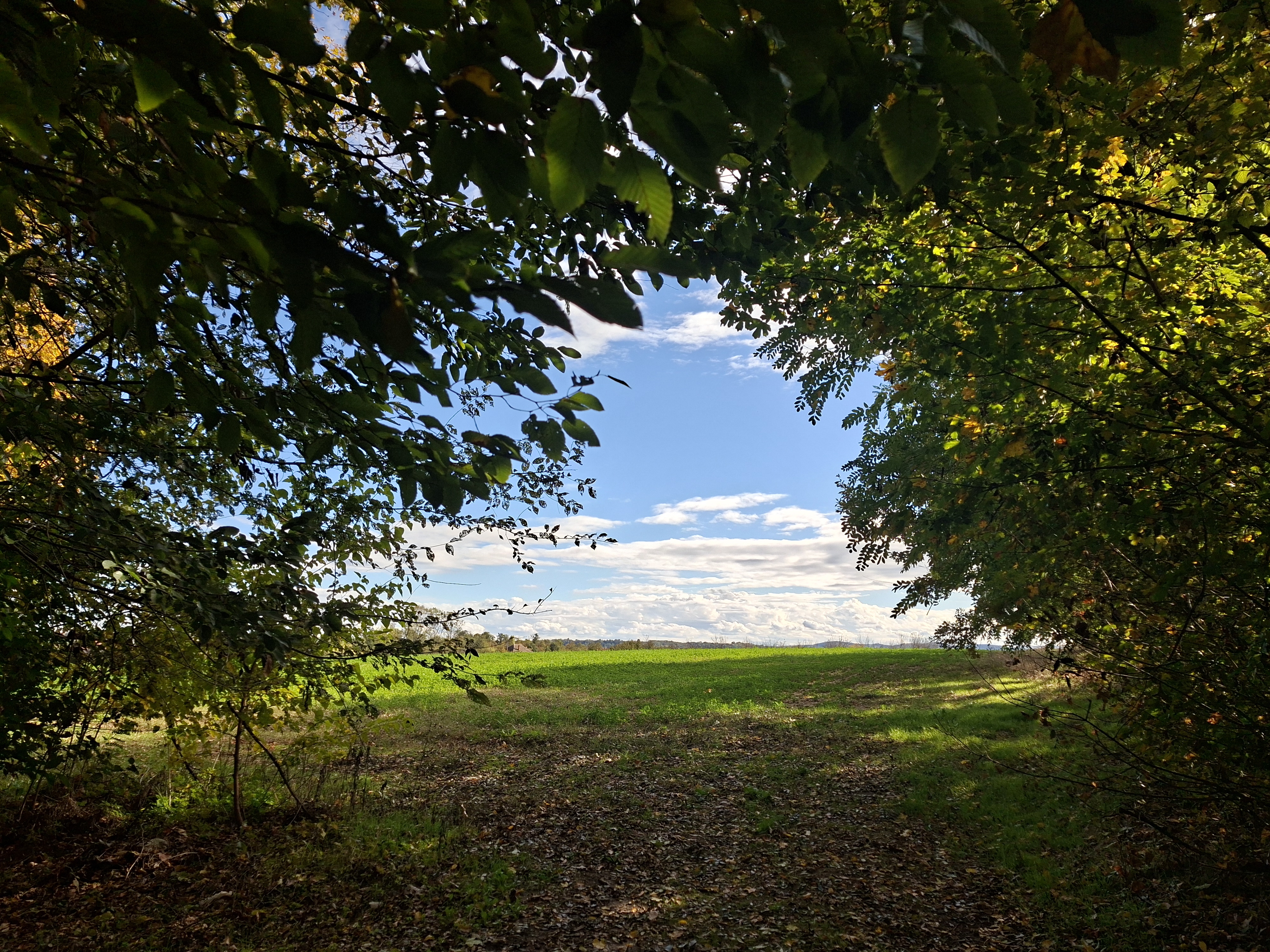 20251024_142209.jpg