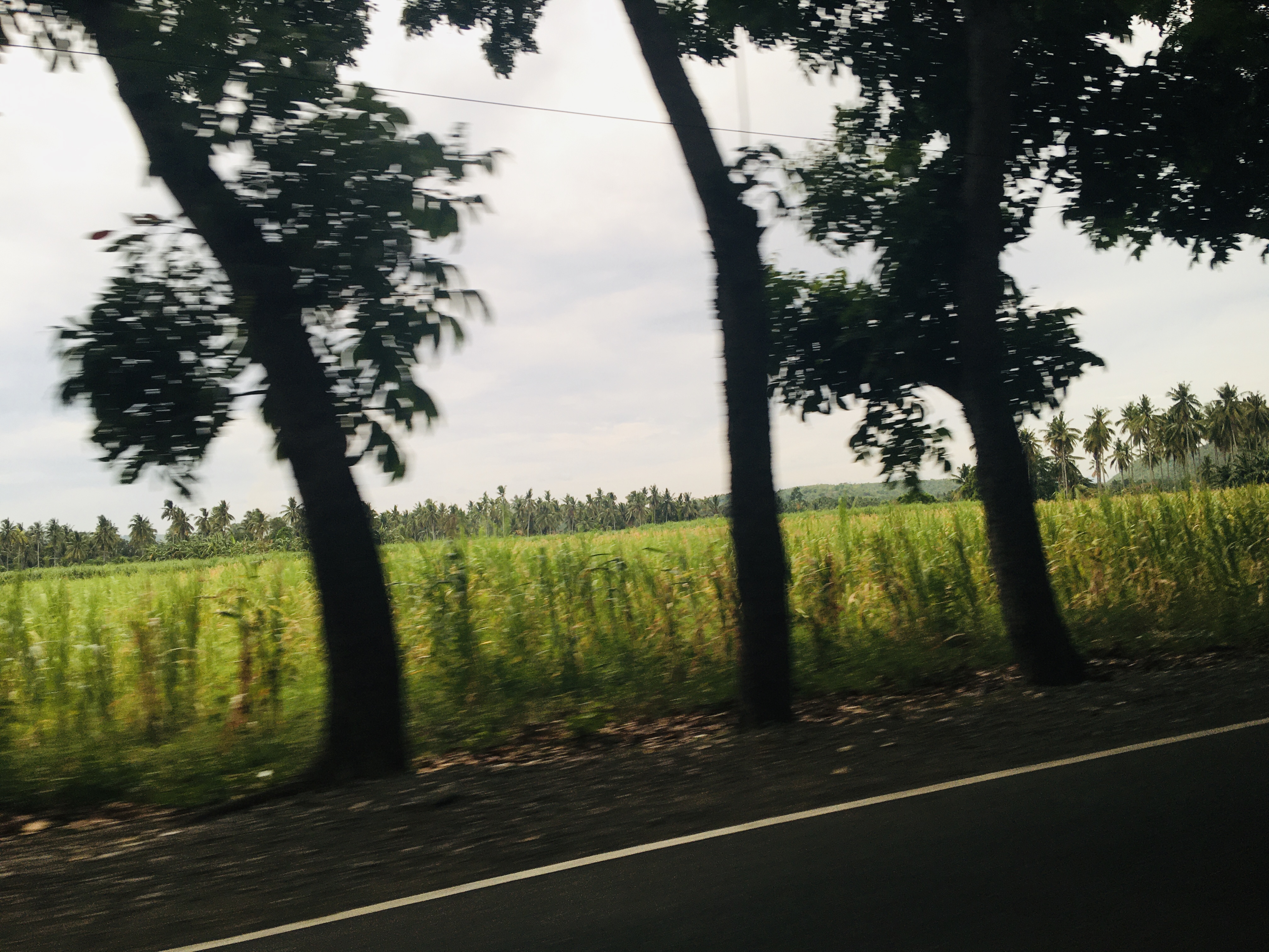 AE88B96D-13D9-4938-9784-7C4E2276A1B9.jpeg