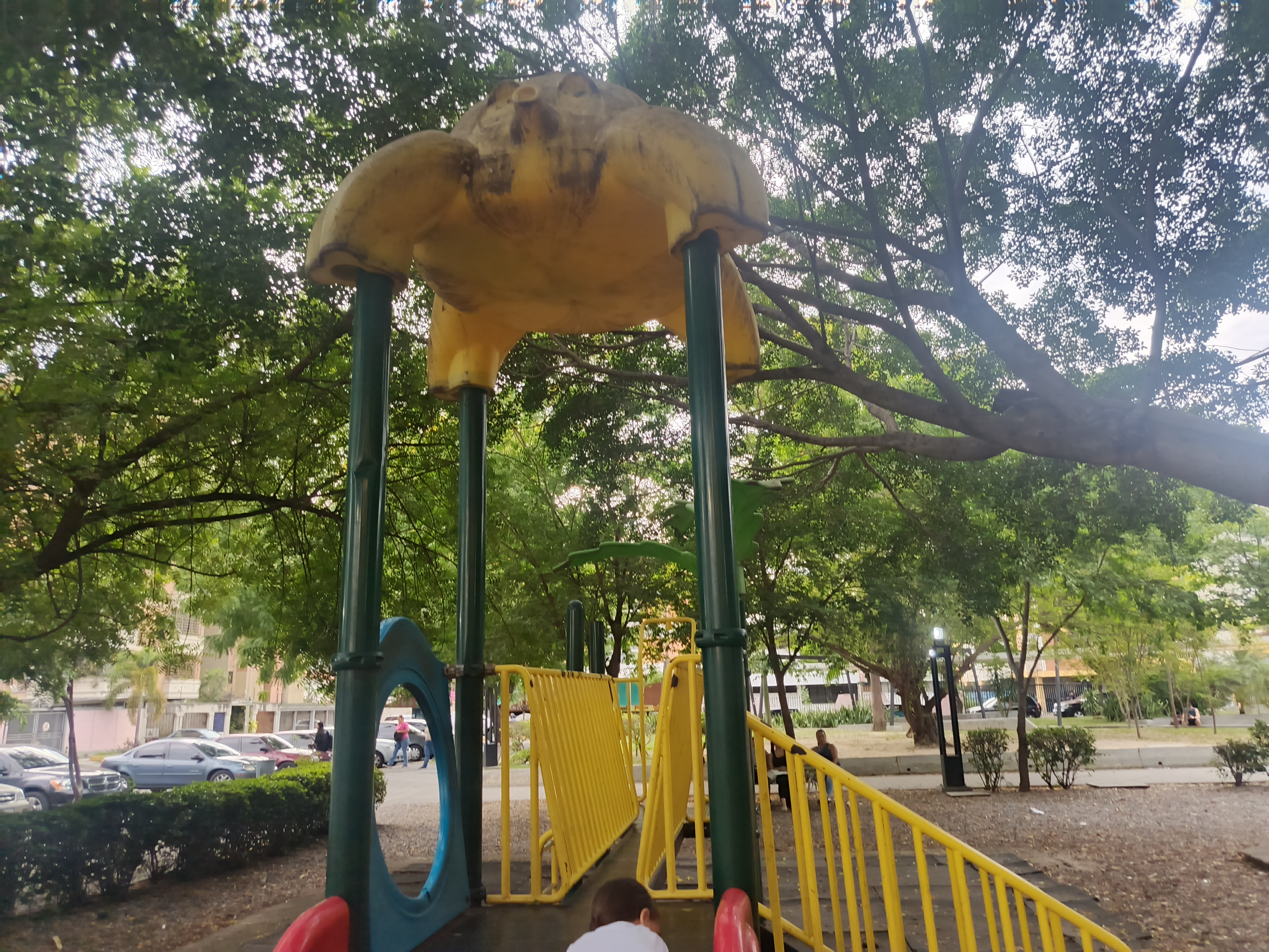 1001554149.jpg