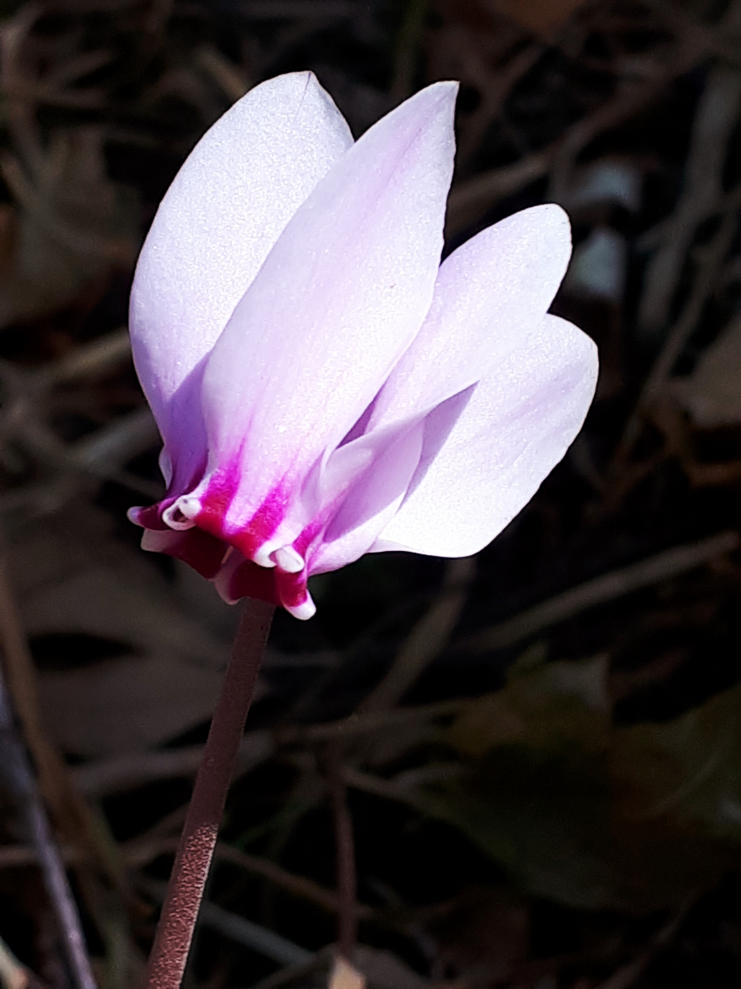 20190920_183110.jpg