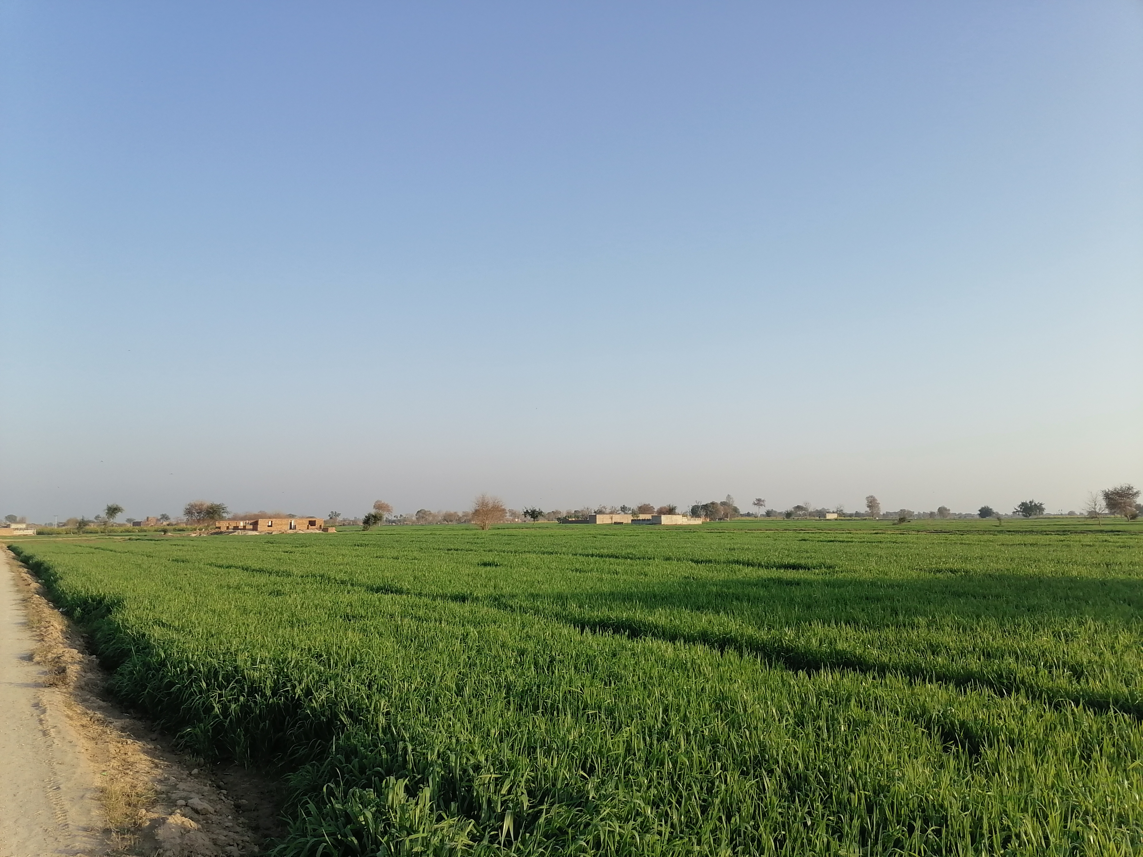 IMG_20220128_163258.jpg