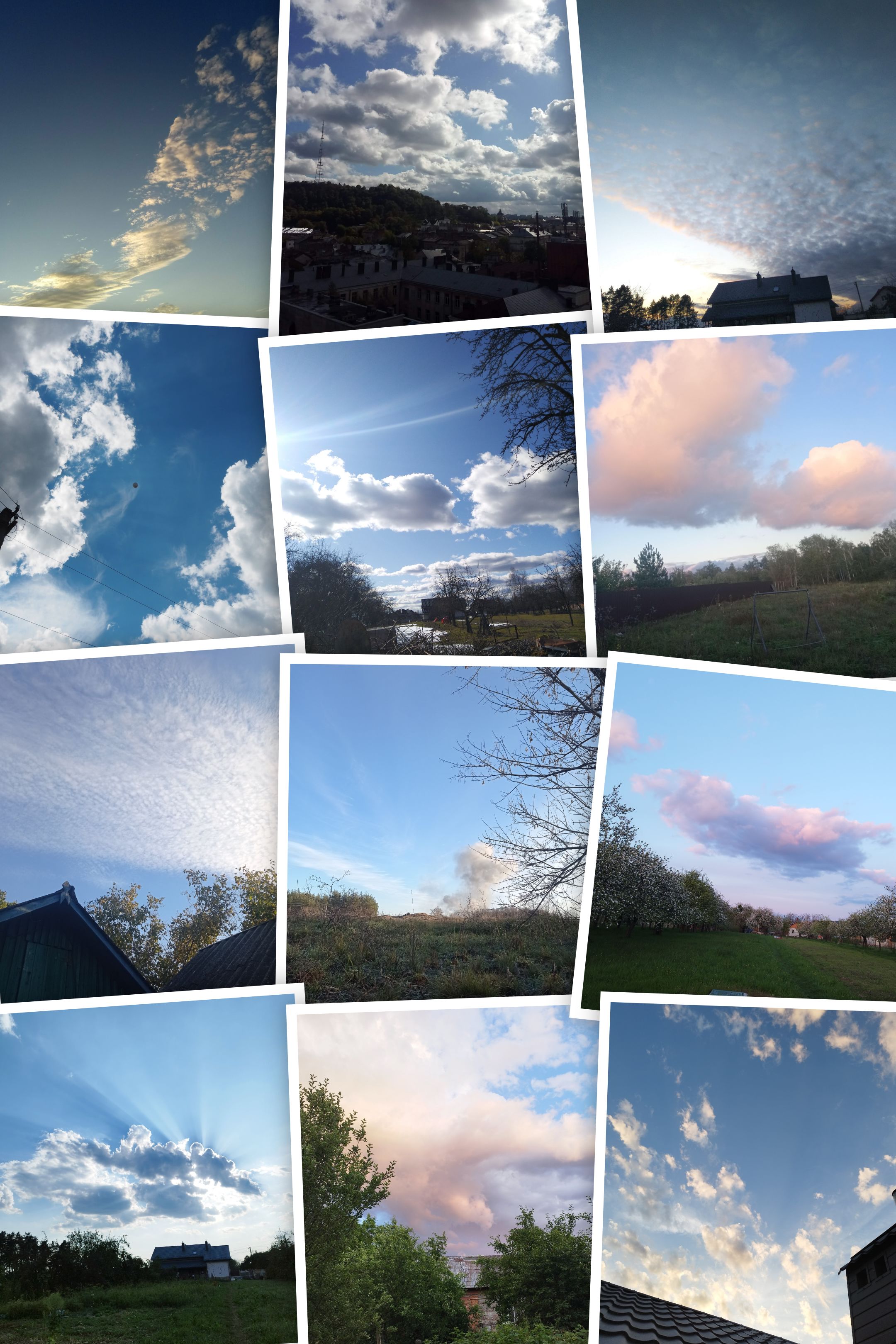 P90811-202459-COLLAGE.jpg