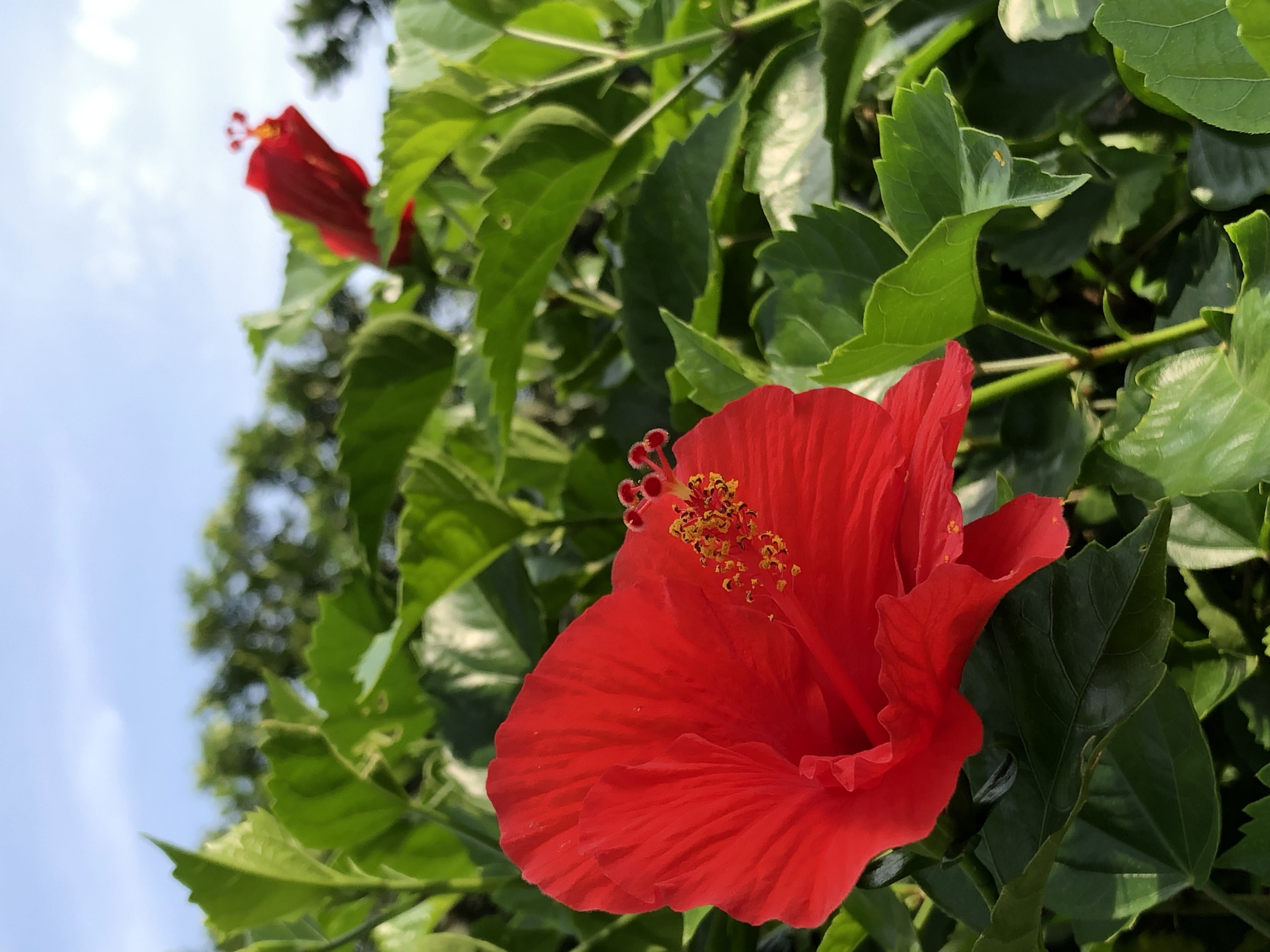 15462533-B7FD-4481-9C9D-1C0917494D91.jpeg