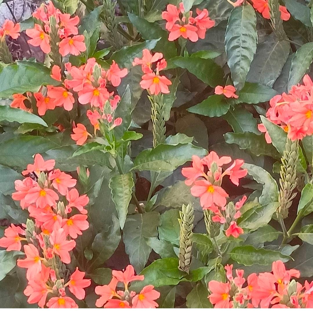 JvFFVmatwWHRfvmtd53nmEJ94xpKydwmbSC5H5svBACH81iyfCFviq9H5AWac4DbMFuGffmD5EmBKihvzyzmrGS67HeYiA7XYtLbsNaxS2ZWf9nu1FseGHKGCgFqTQ1ySTYiuC3BpS.jpeg