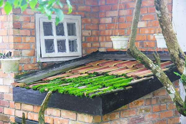 Smokehouse19.jpg