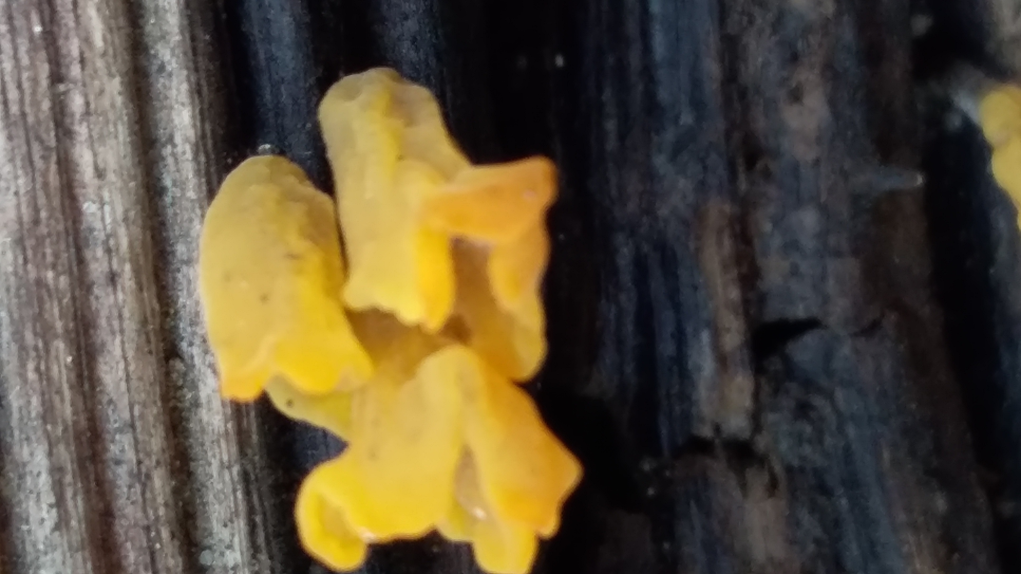 20220216_125401.jpg