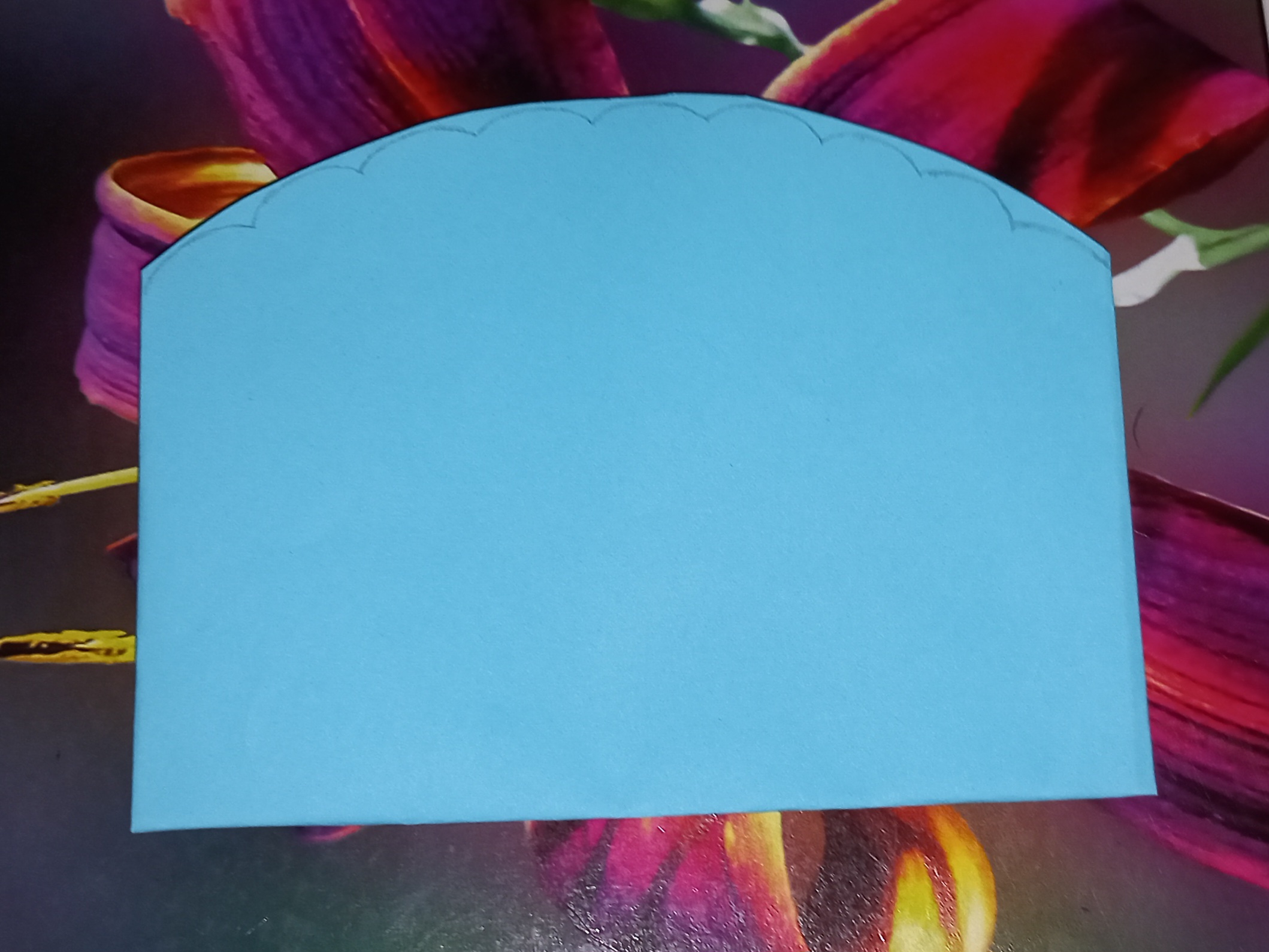 20250412_141540.jpg