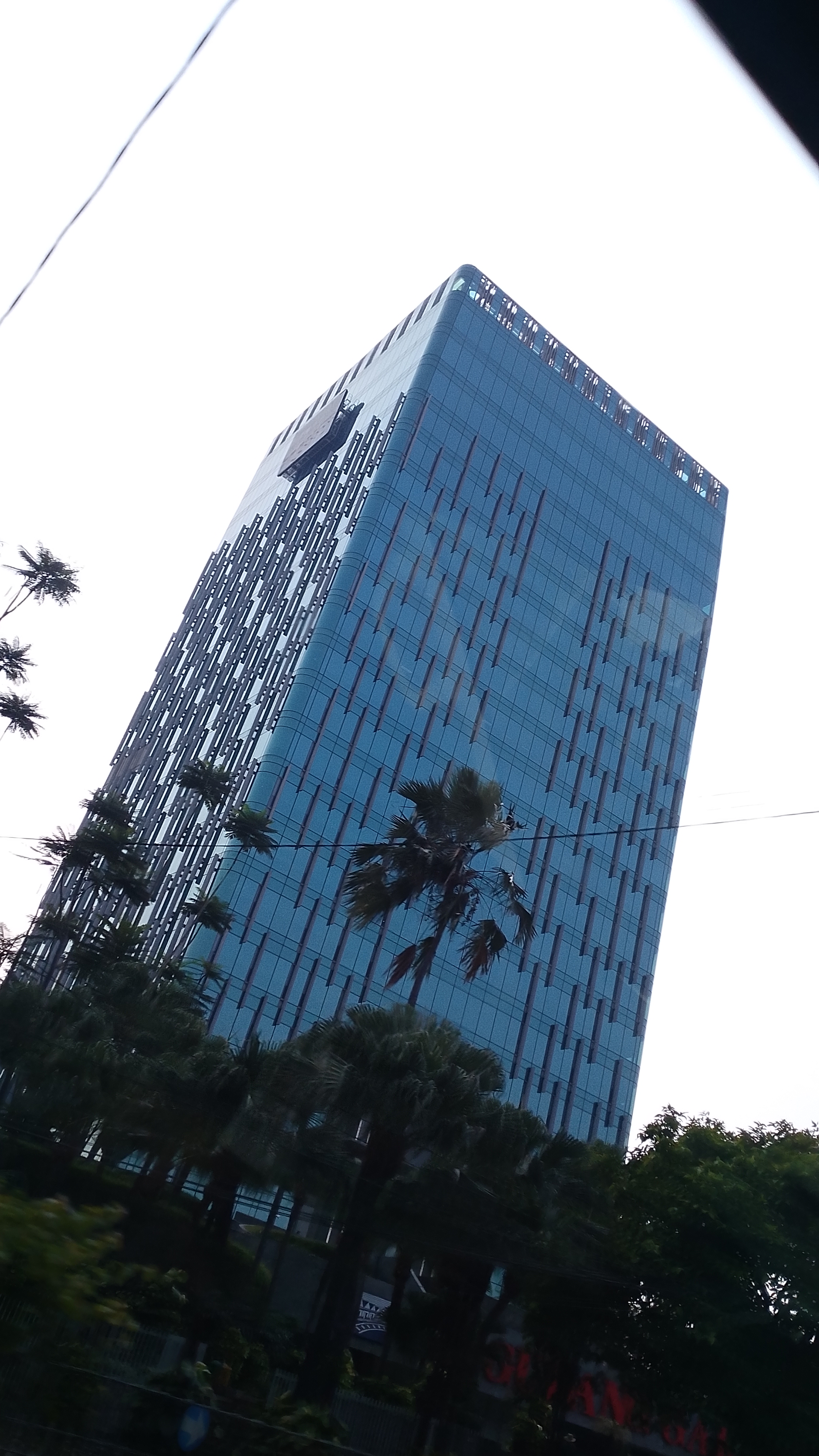 82367.jpg