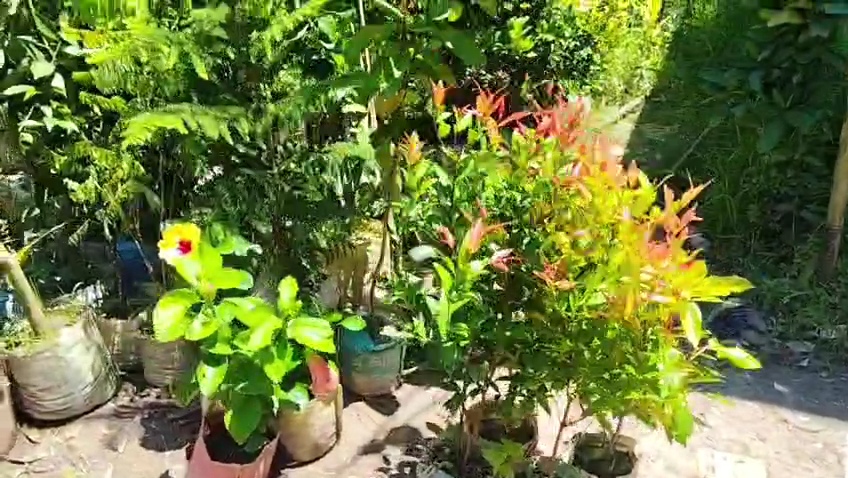 VideoCapture_20260816-181328.jpg