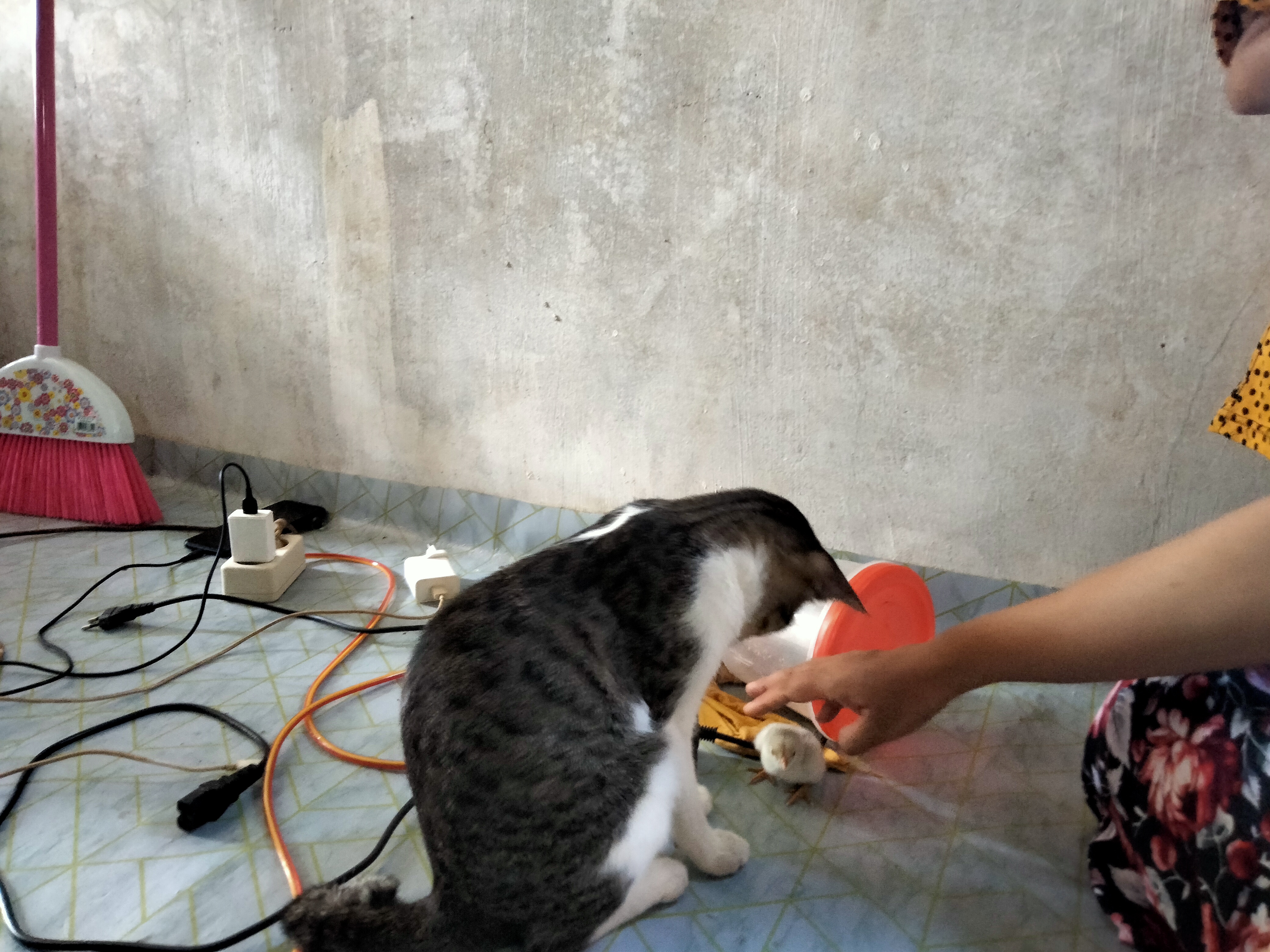 IMG20260226115439.jpg