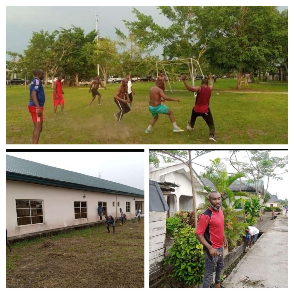 IMG_20220215_111938-COLLAGE.jpg