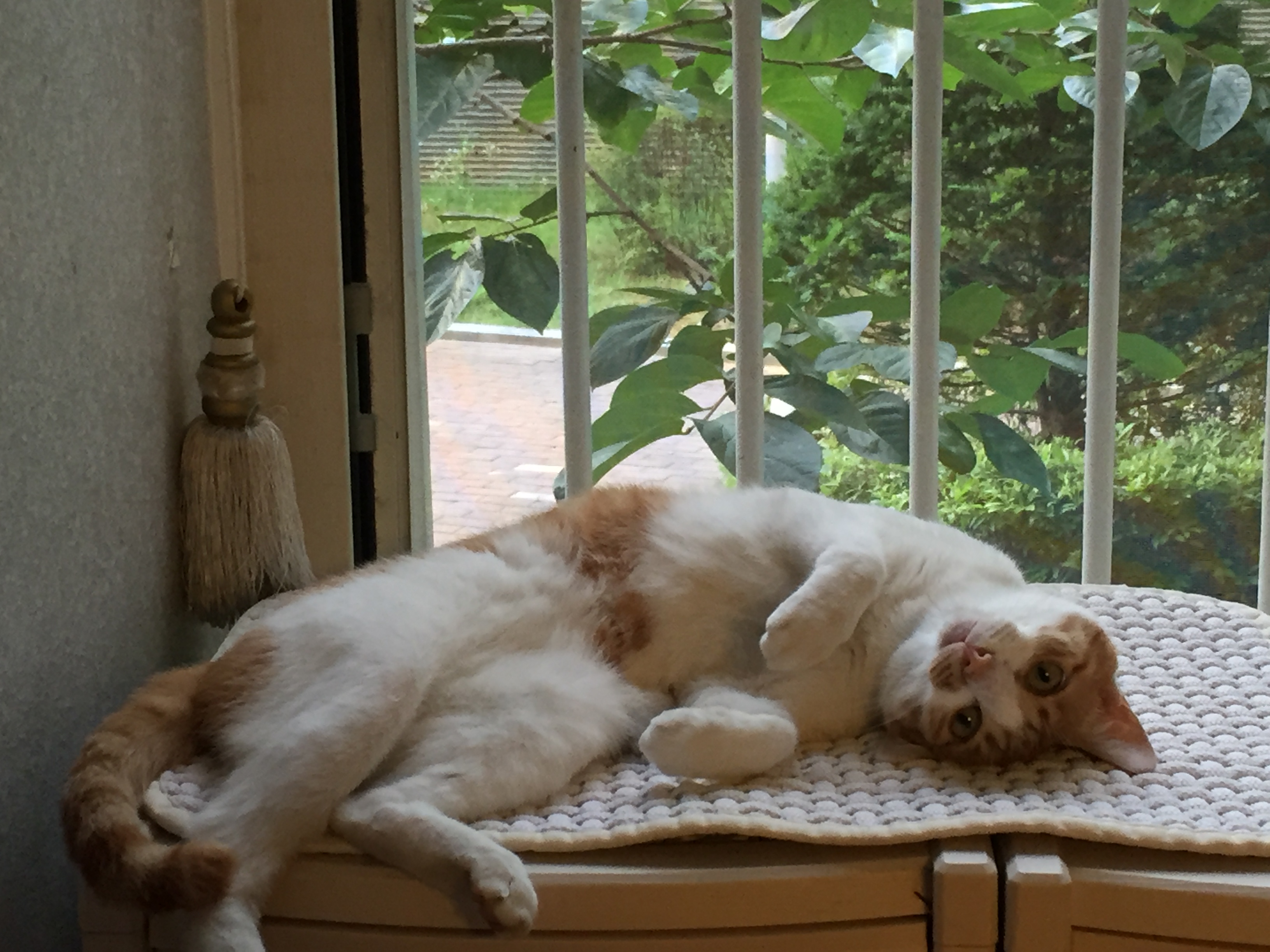 KakaoTalk_Photo_2018-07-18-20-51-39.jpeg