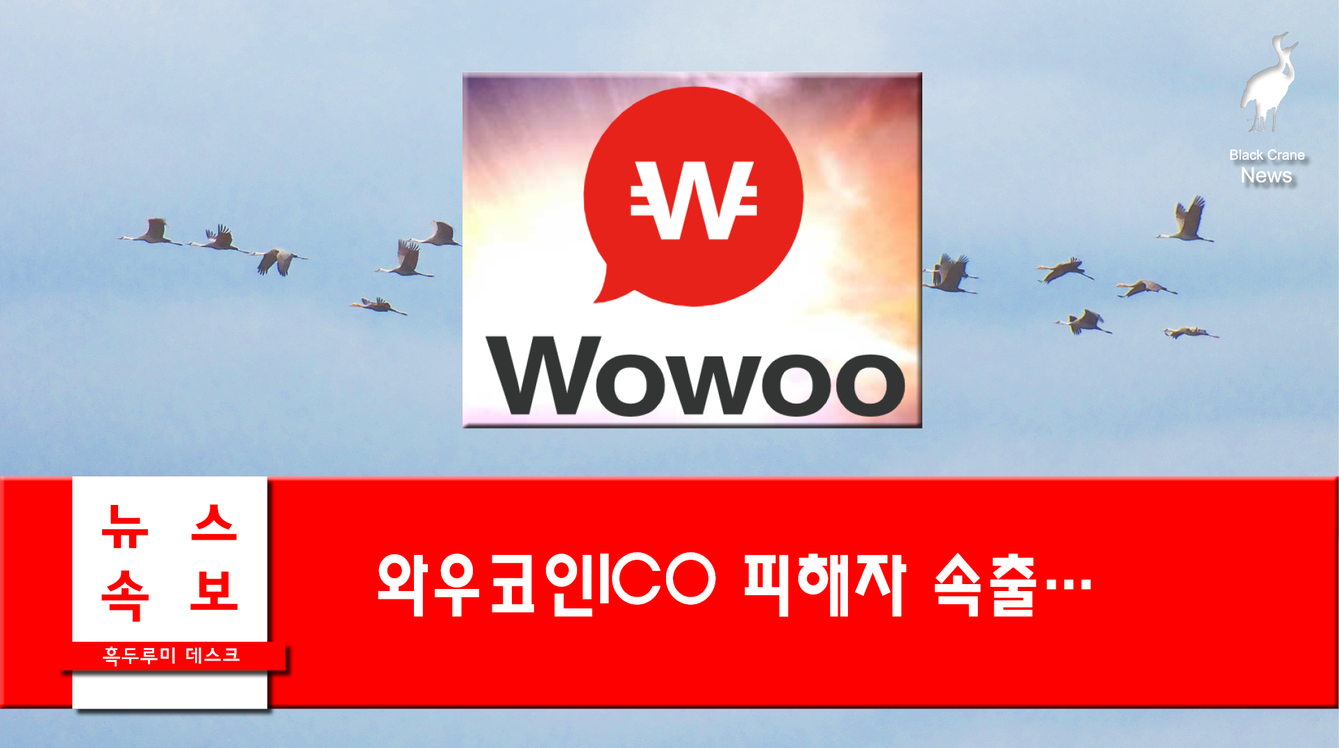 0522_black crane news4.png