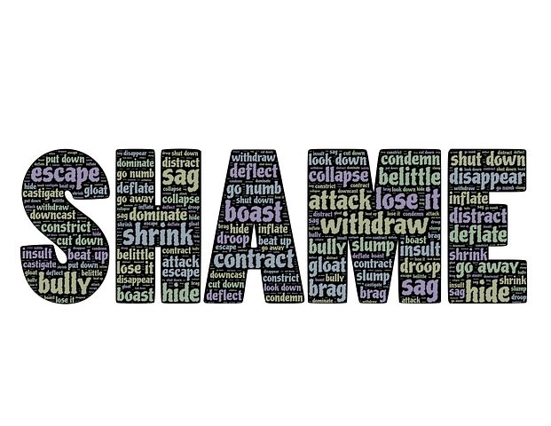 shame-652499__480.jpg