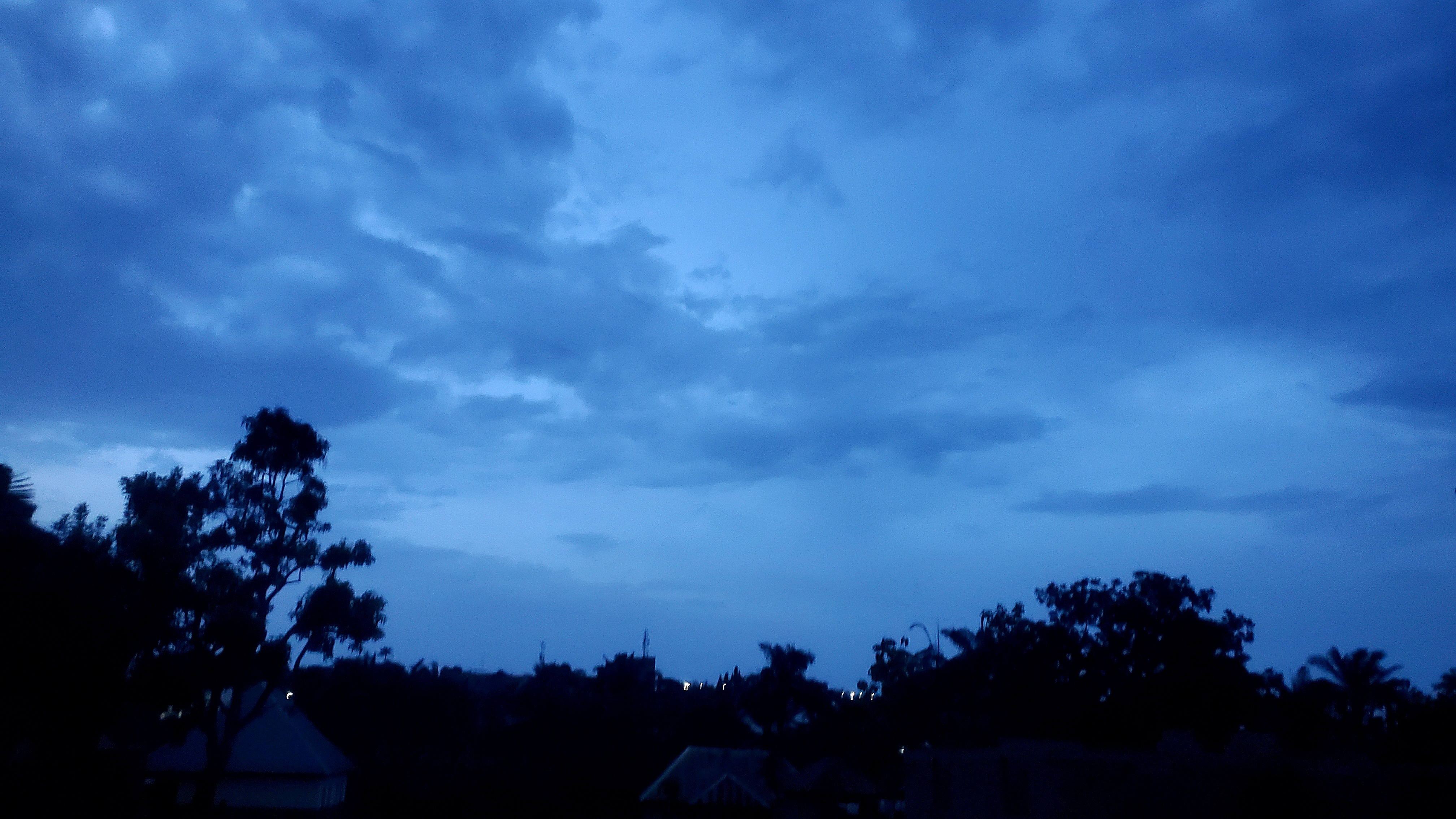 20260425_185014.jpg