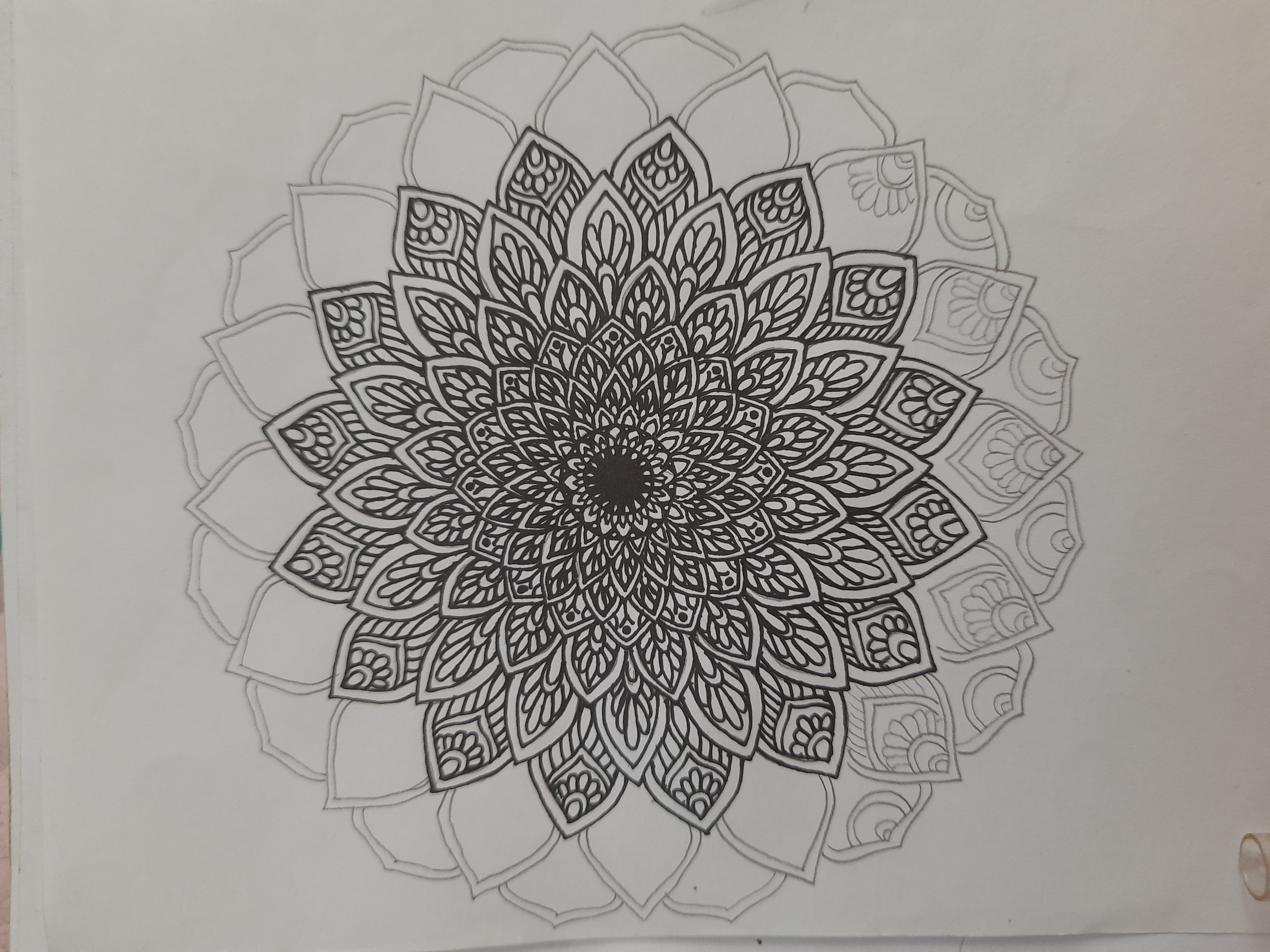 20260406_163359.jpg