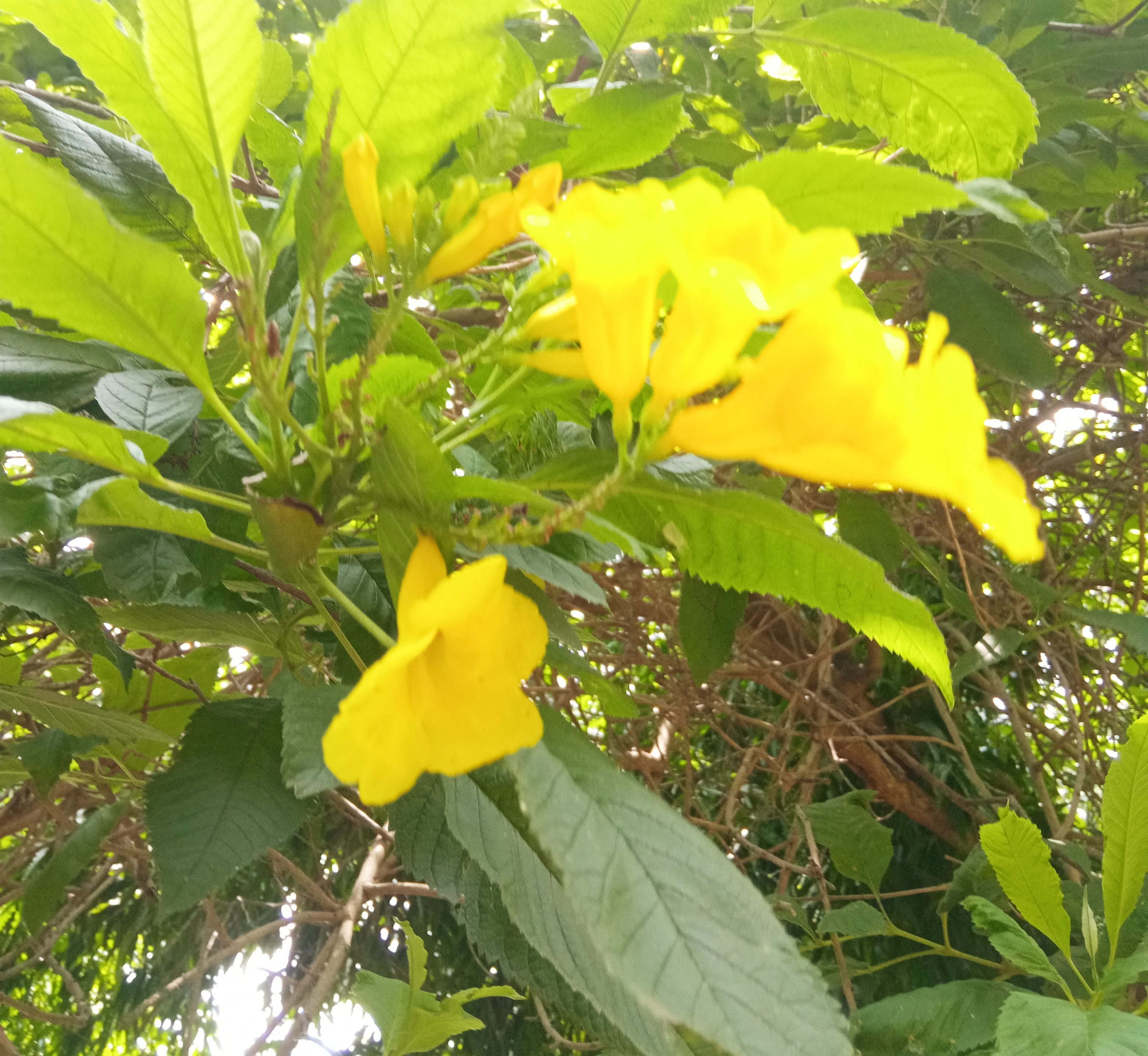 IMG_20260526_083134.jpg