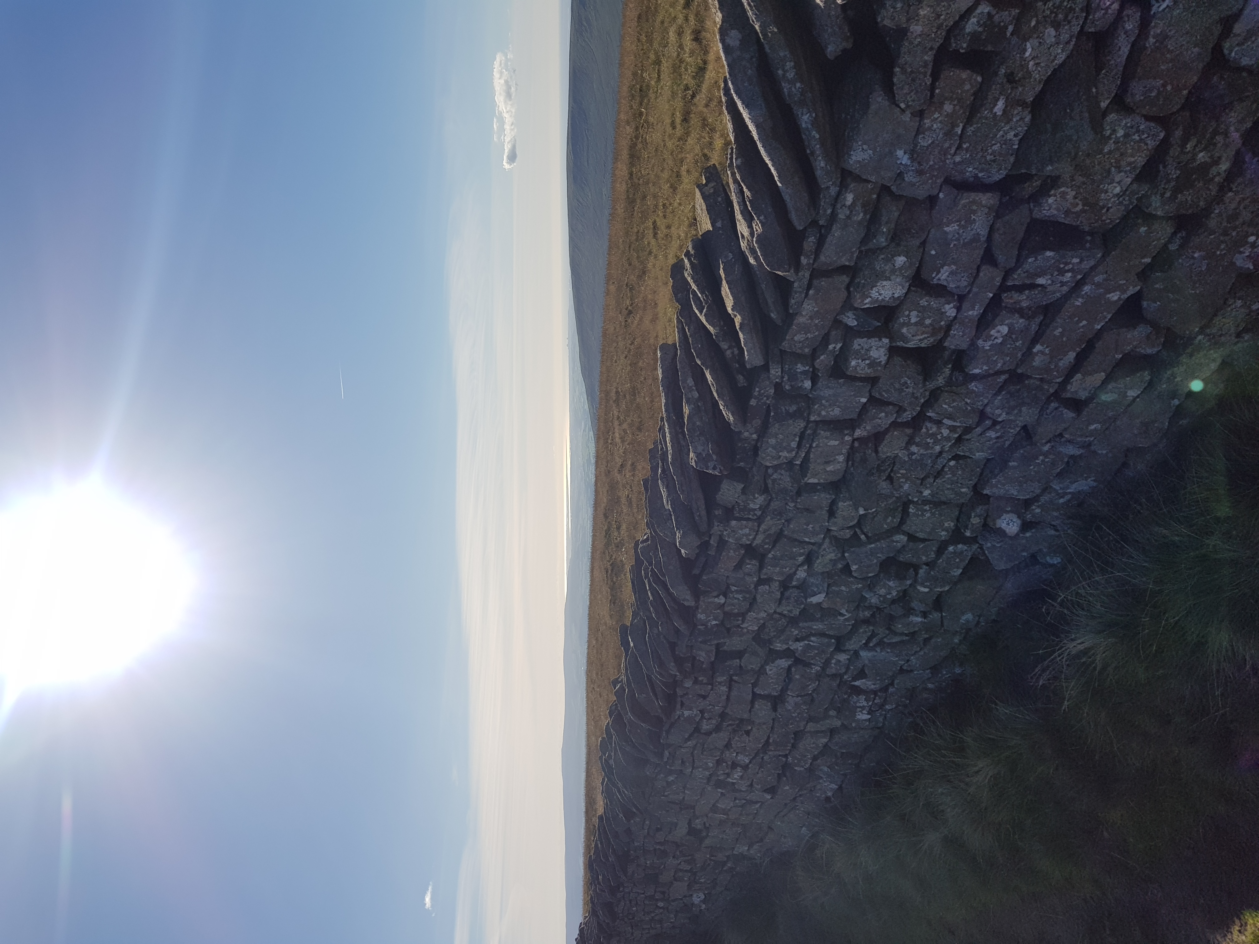 20180928_153234.jpg