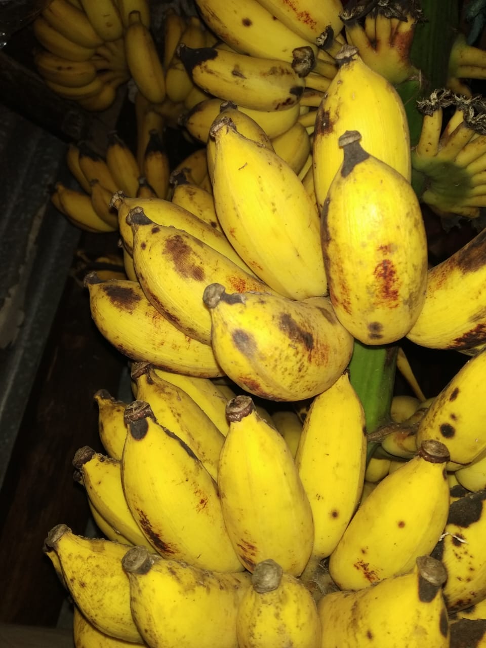 IMG-20190415-WA0079.jpg