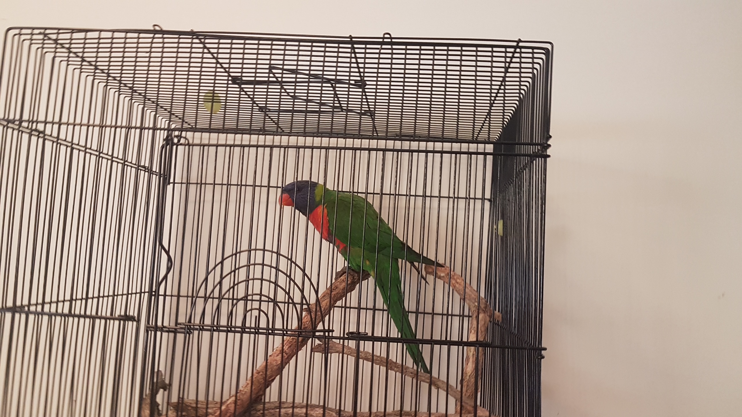 20190302_084057.jpg
