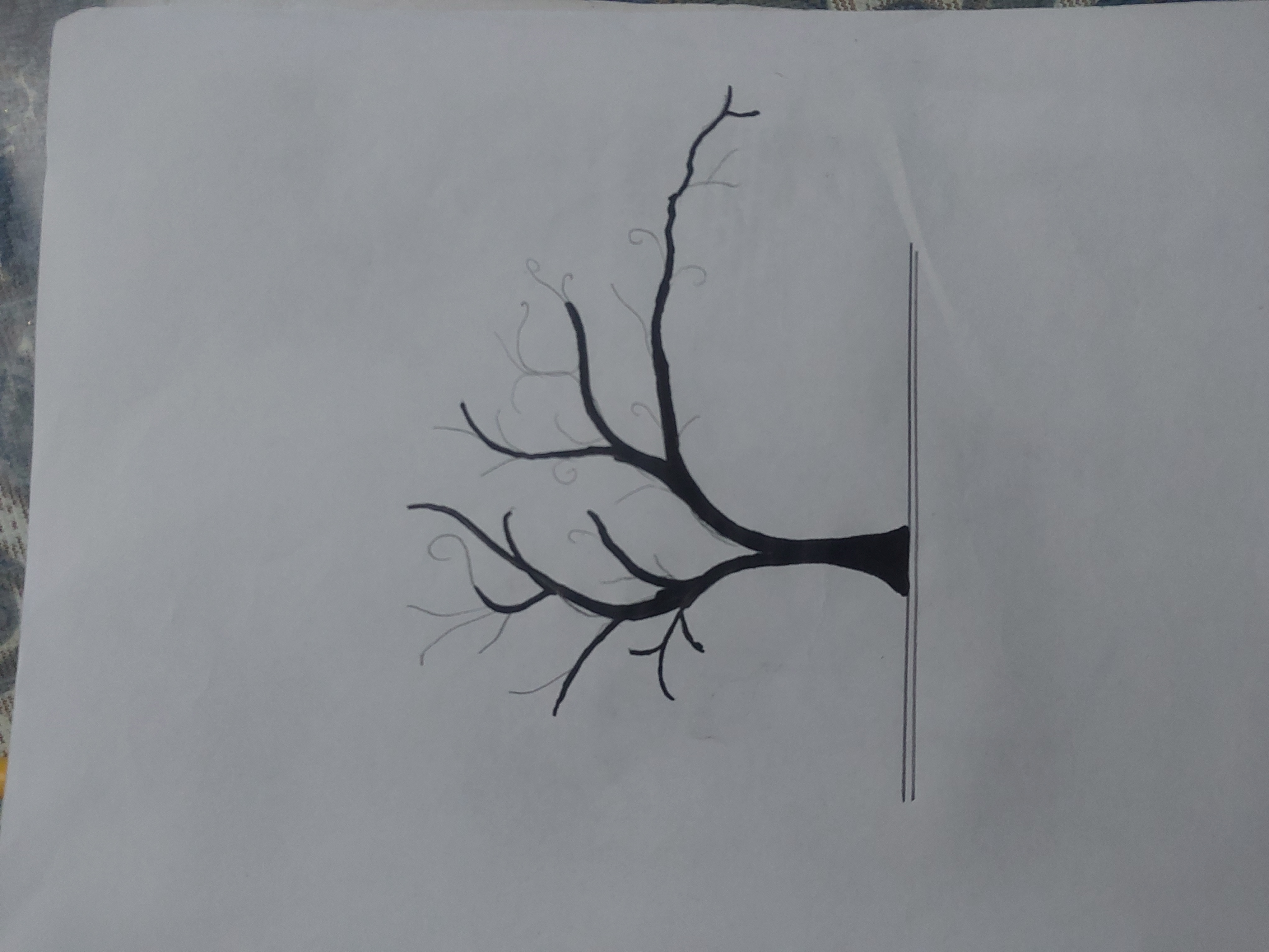 1000225563.jpg