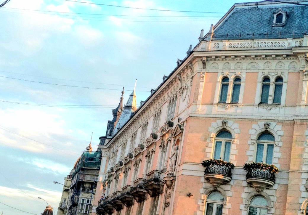 20201025_131615.jpg