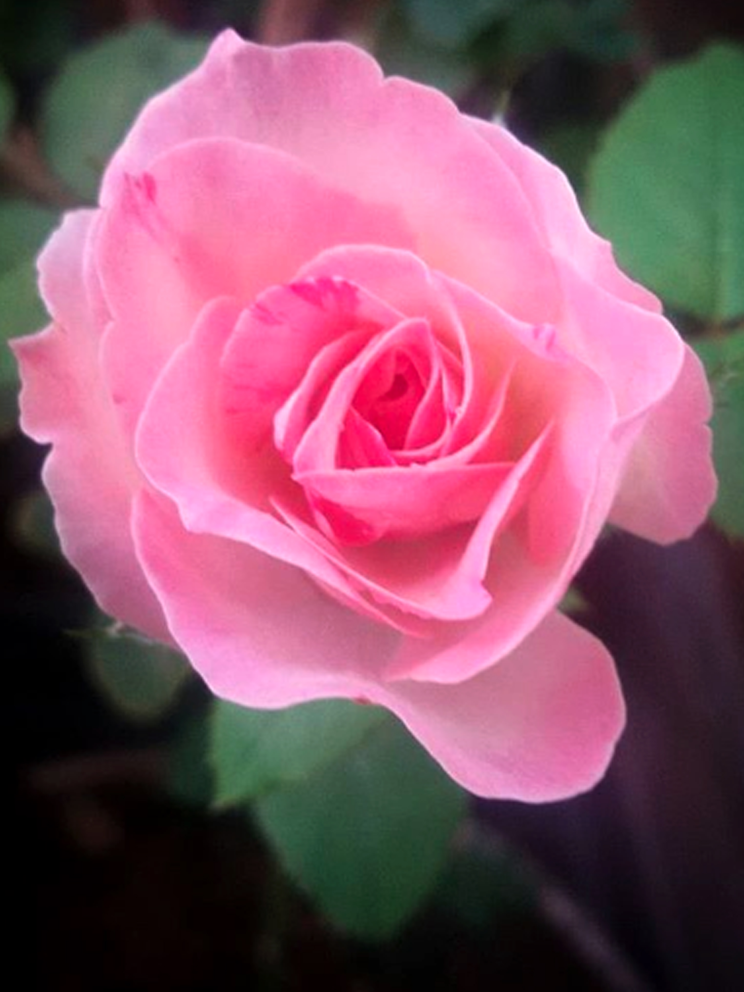 20180824_172554.jpg