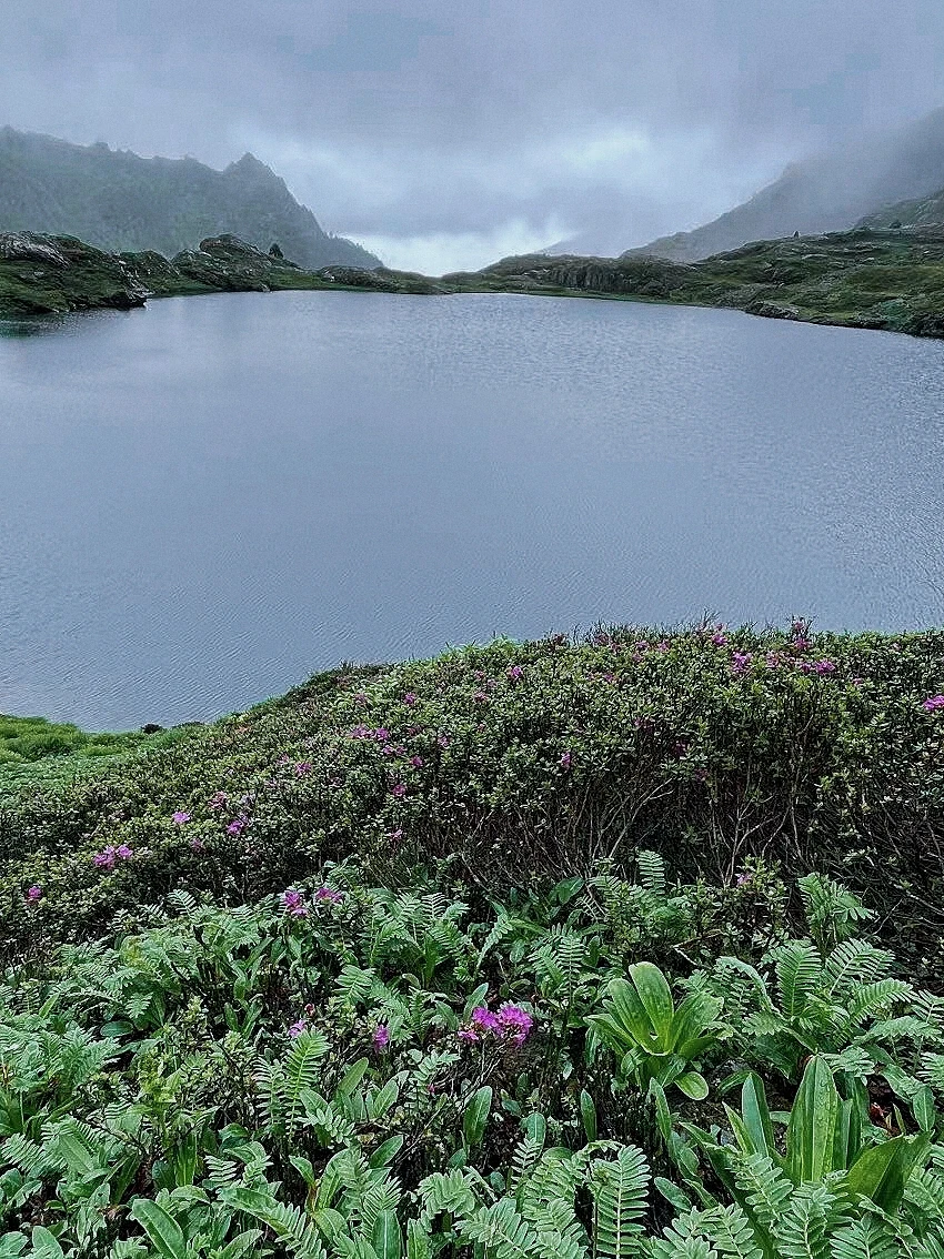 226.webp