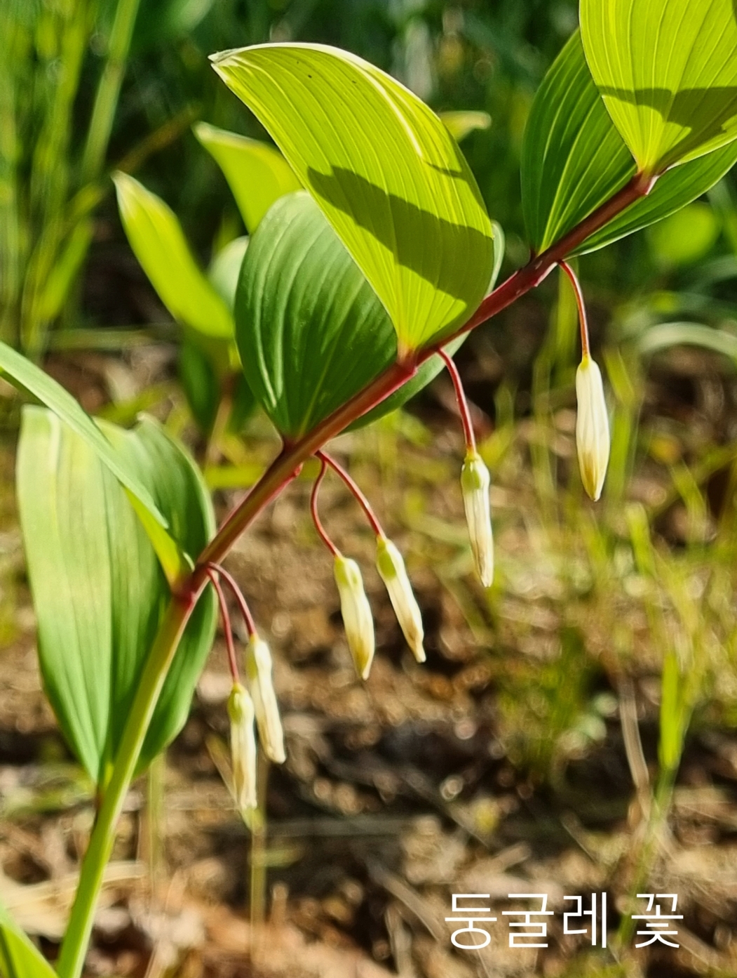 SmartSelect_20210504-104126_Gallery.jpg