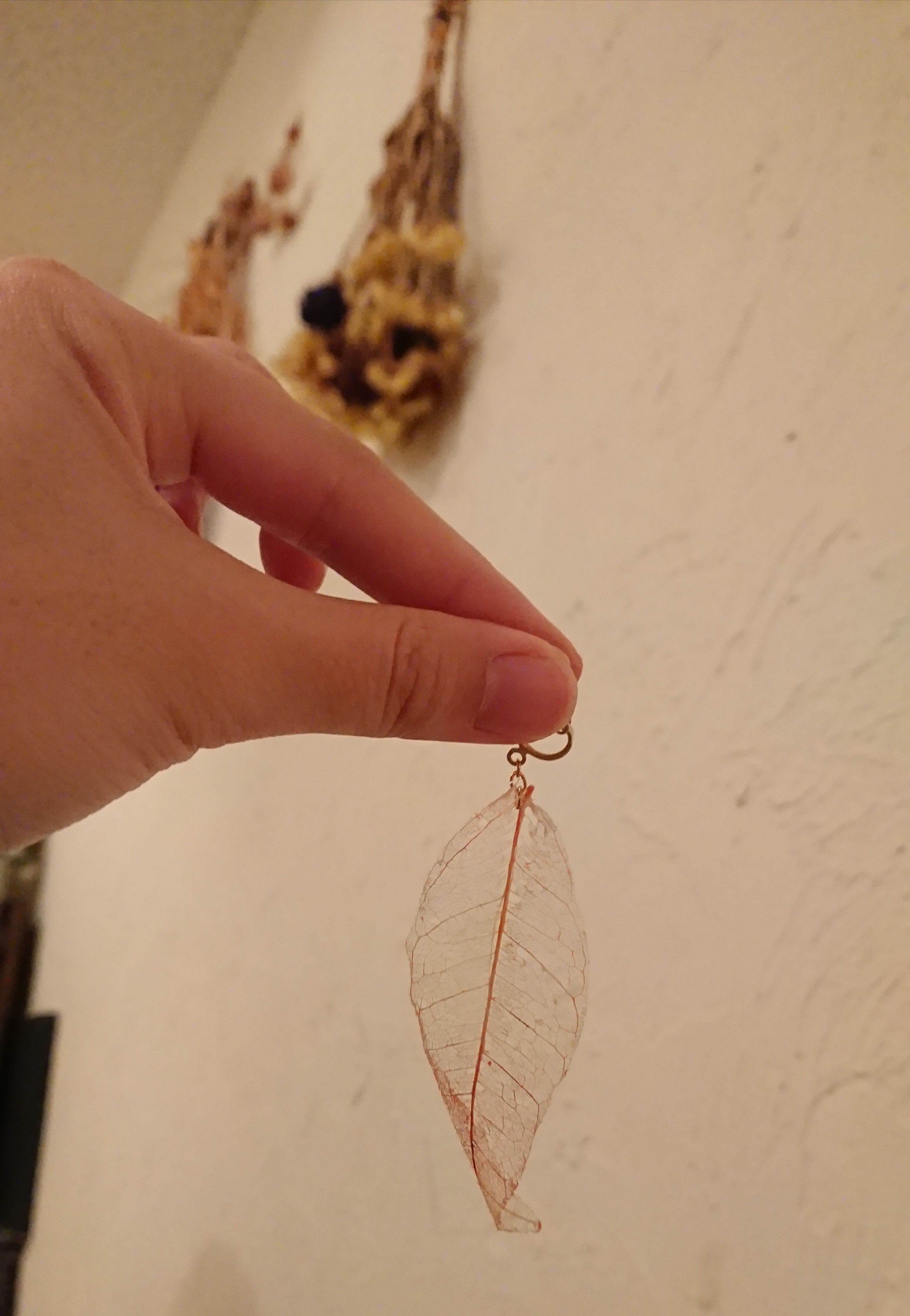 _20180916_120826.JPG