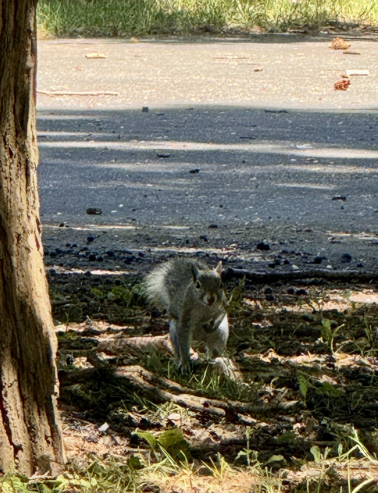IMG_8293.jpg