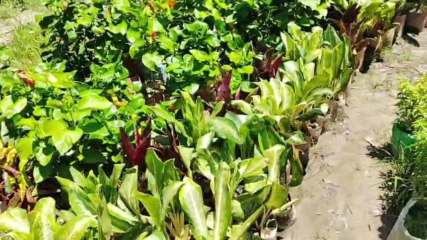 VideoCapture_20260816-181410.jpg