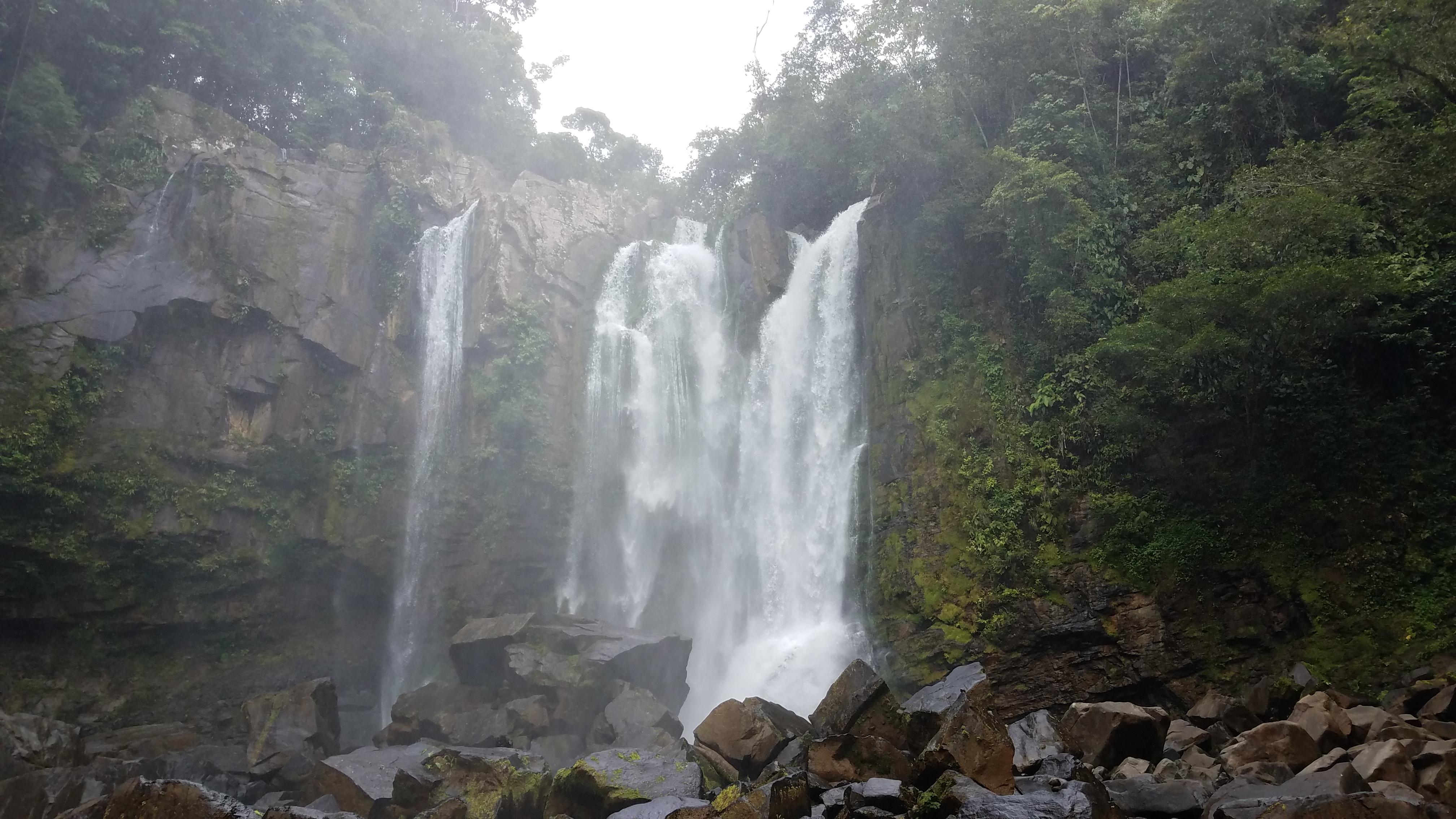 20180618_104449.jpg