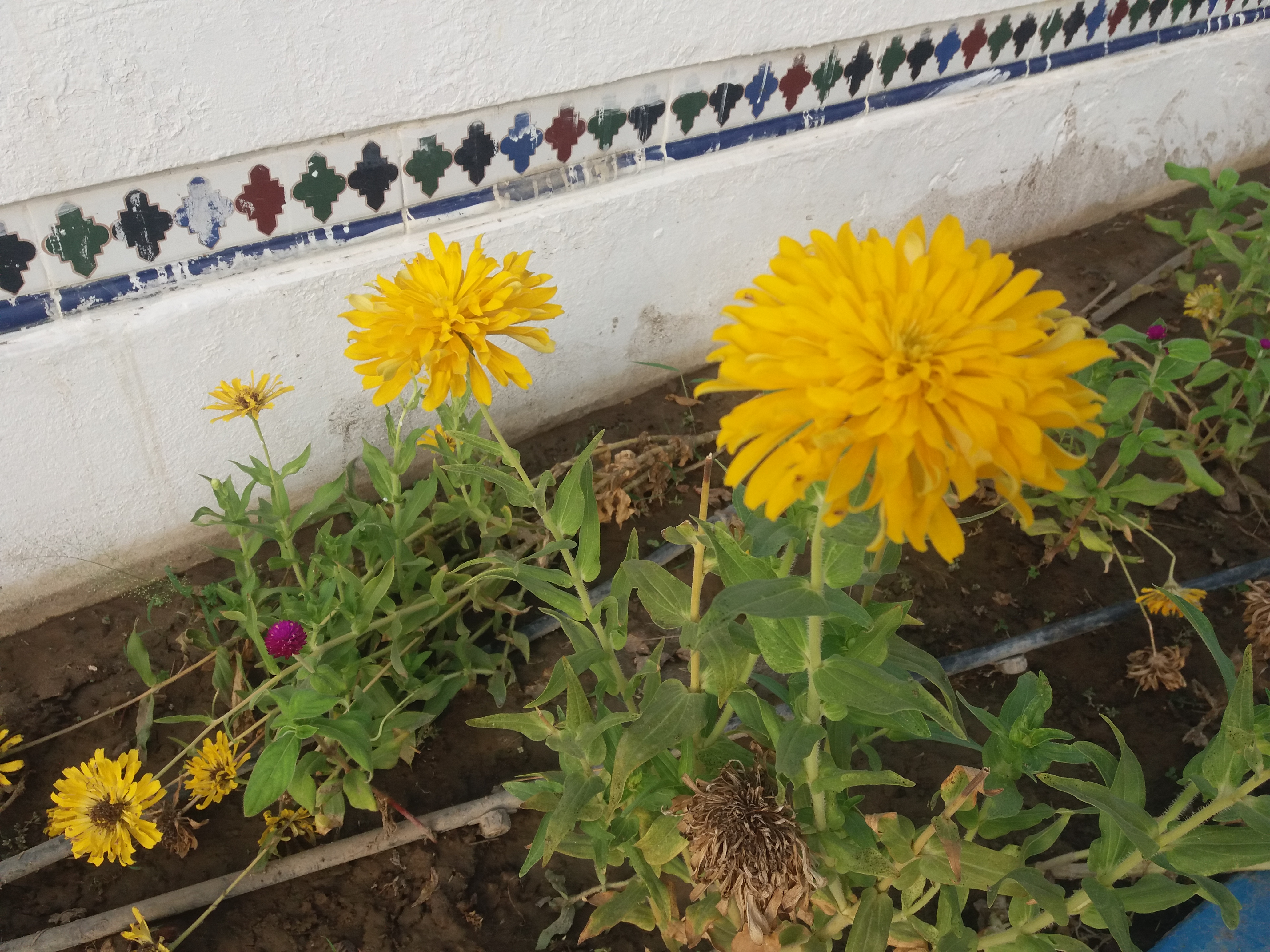 20190814_175133.jpg