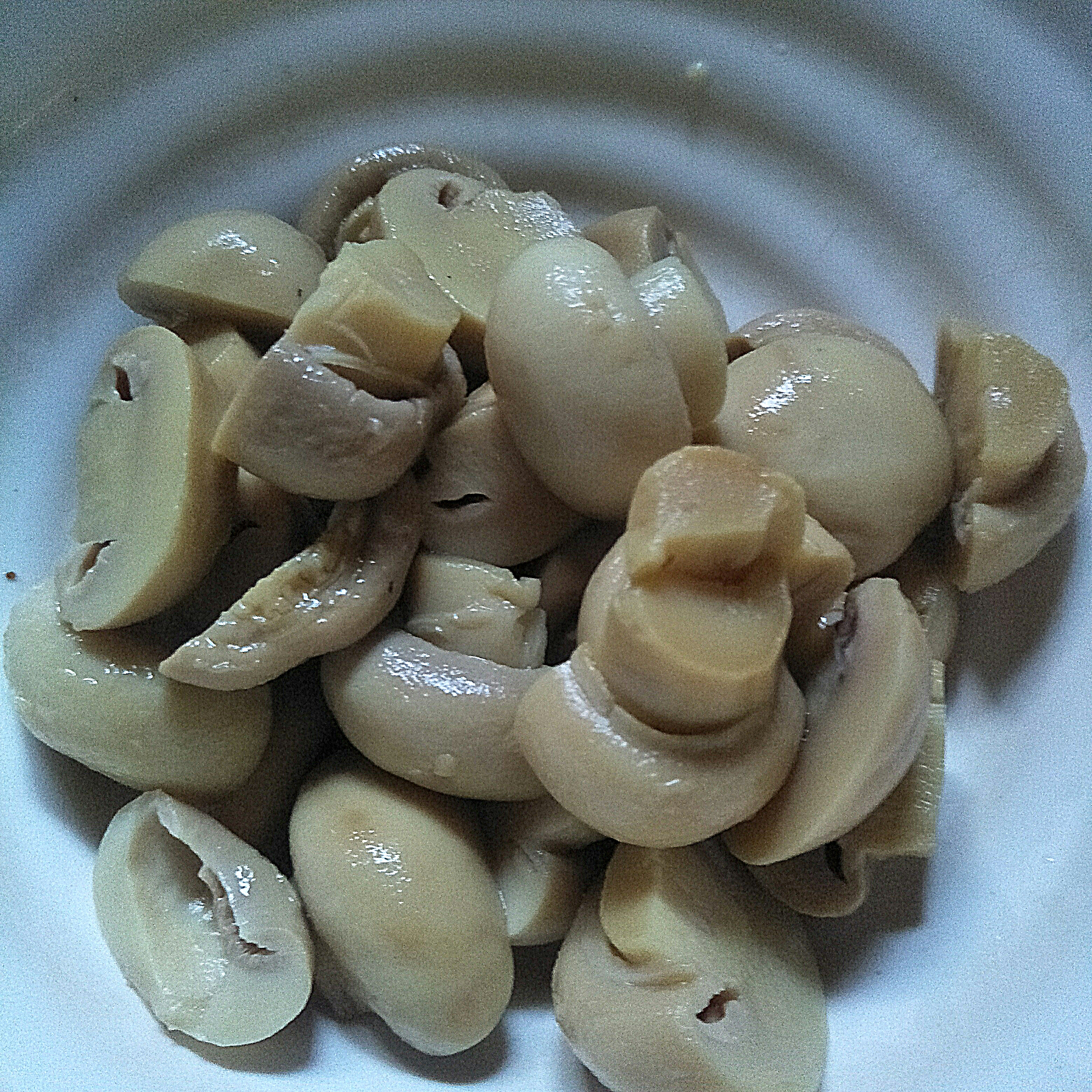 IMG20210410115128.jpg