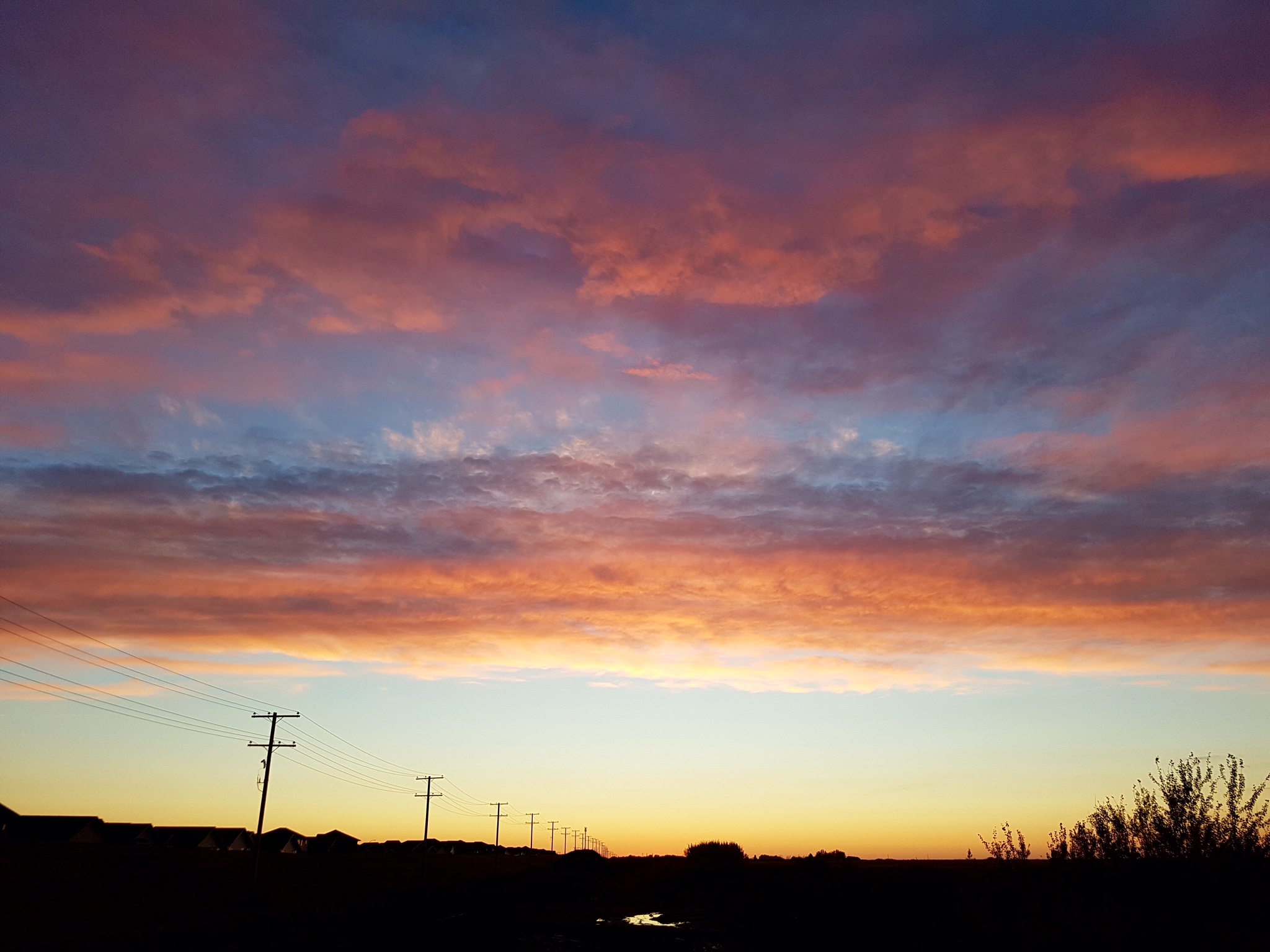 1C64C74F-10C2-4051-85D6-2CC1D5D82A52.jpeg