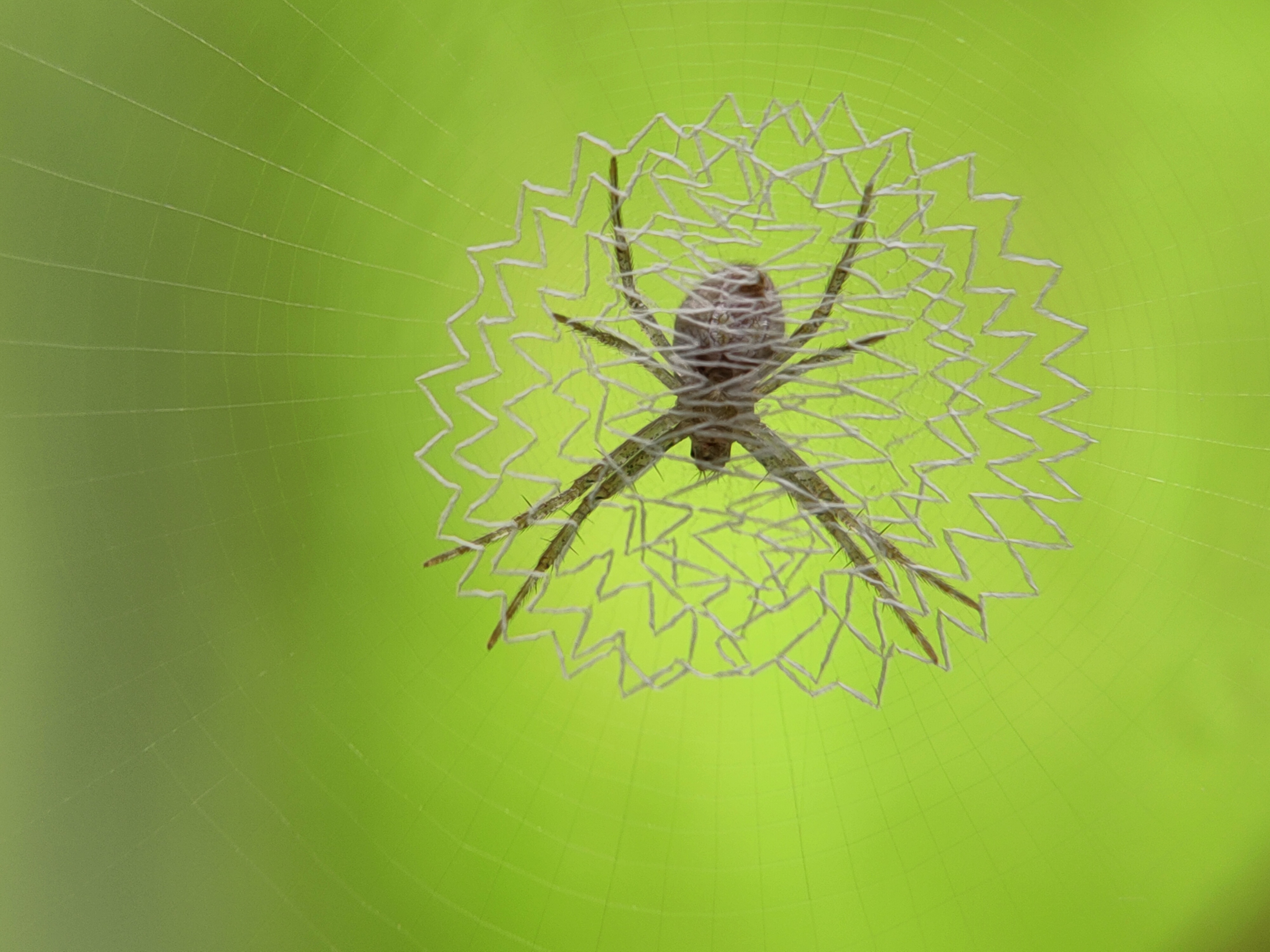 IMG20230918091817.jpg