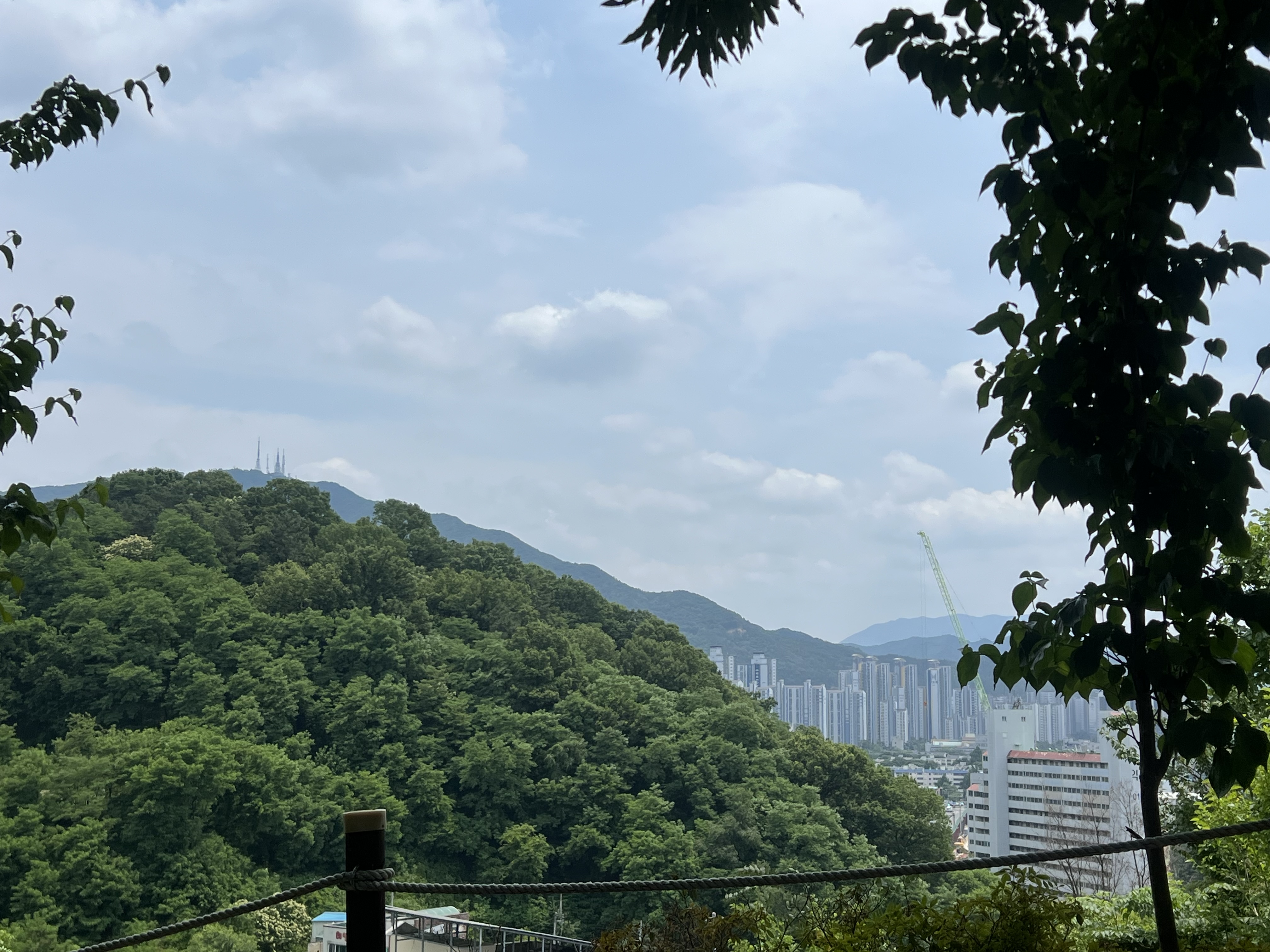KakaoTalk_20250609_175651771.jpg
