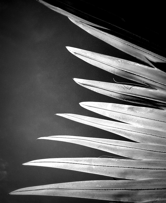 20191009_091306-a-i.jpg