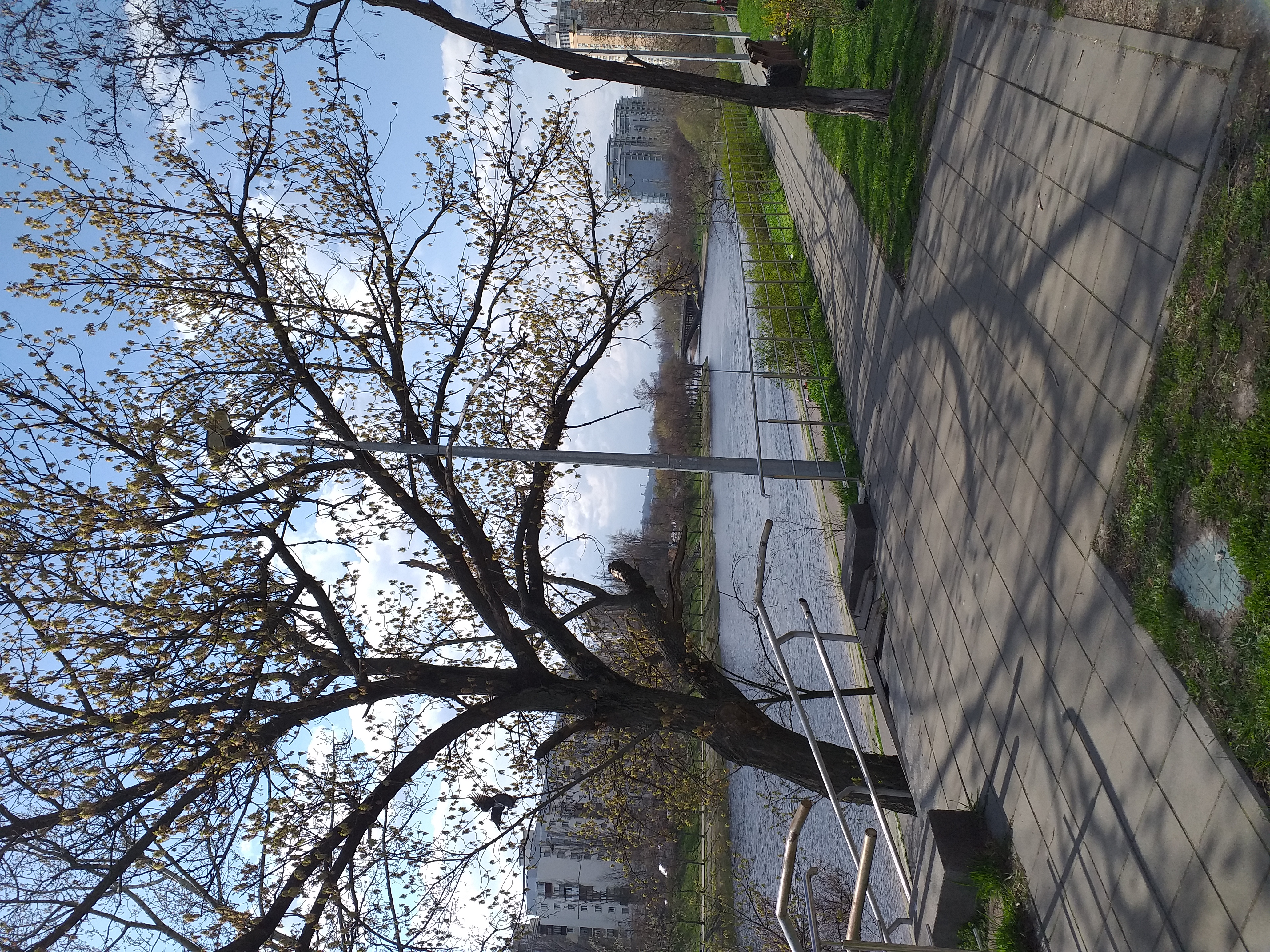 20230408_145617.jpg
