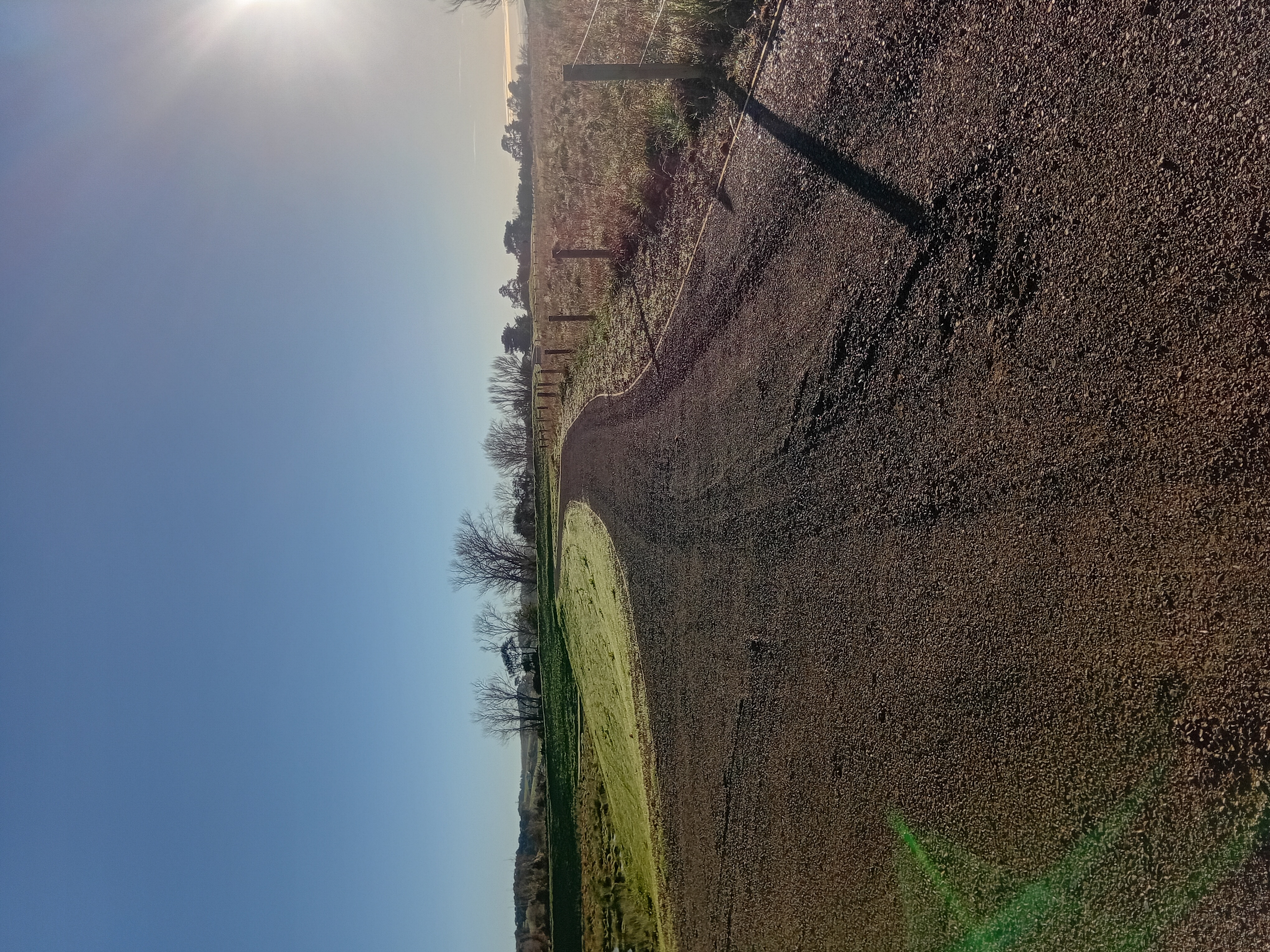 20260613_090406.jpg