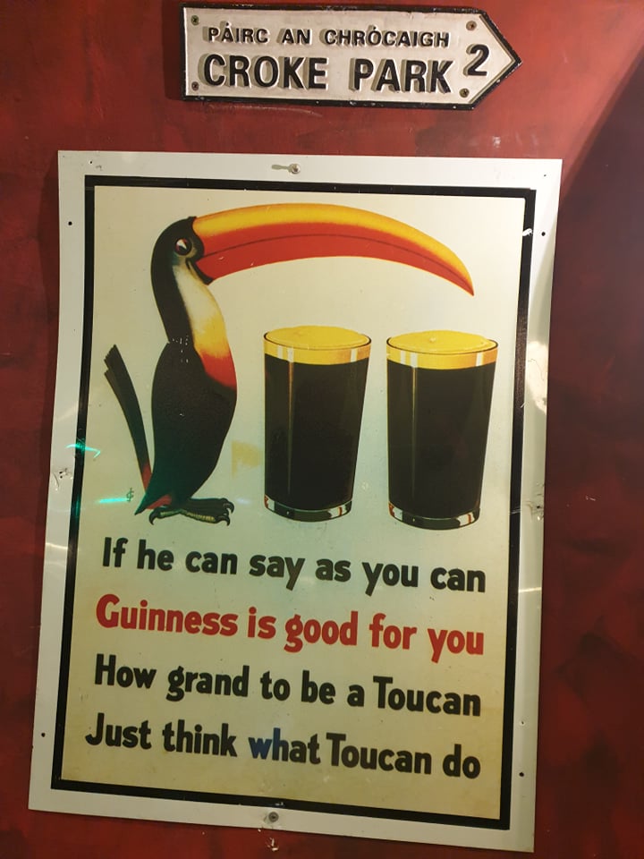 toucan.jpg