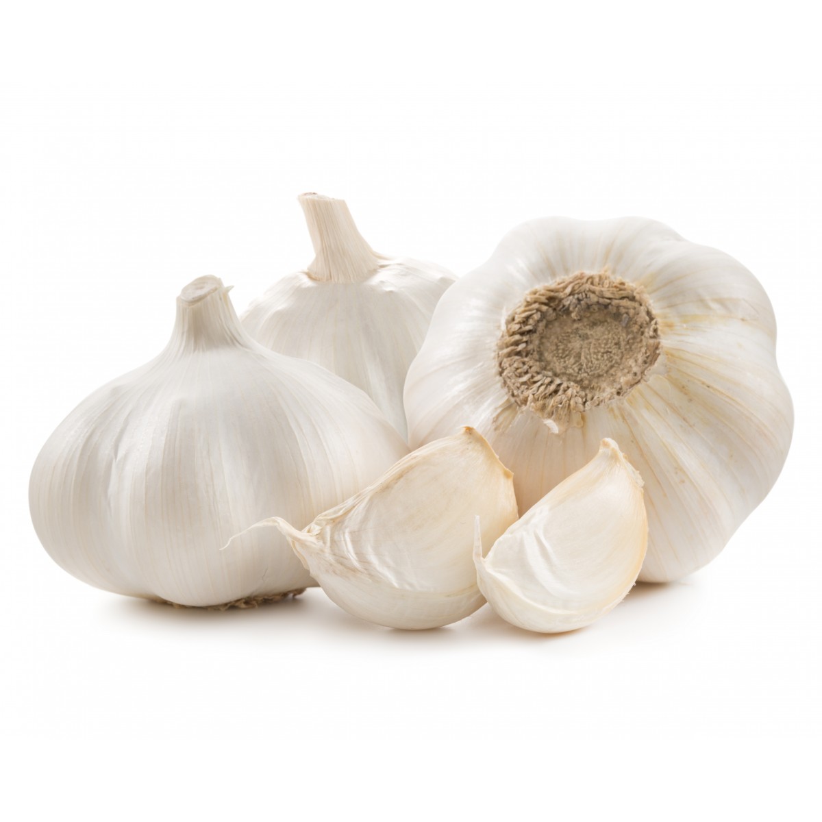 garlic.jpg