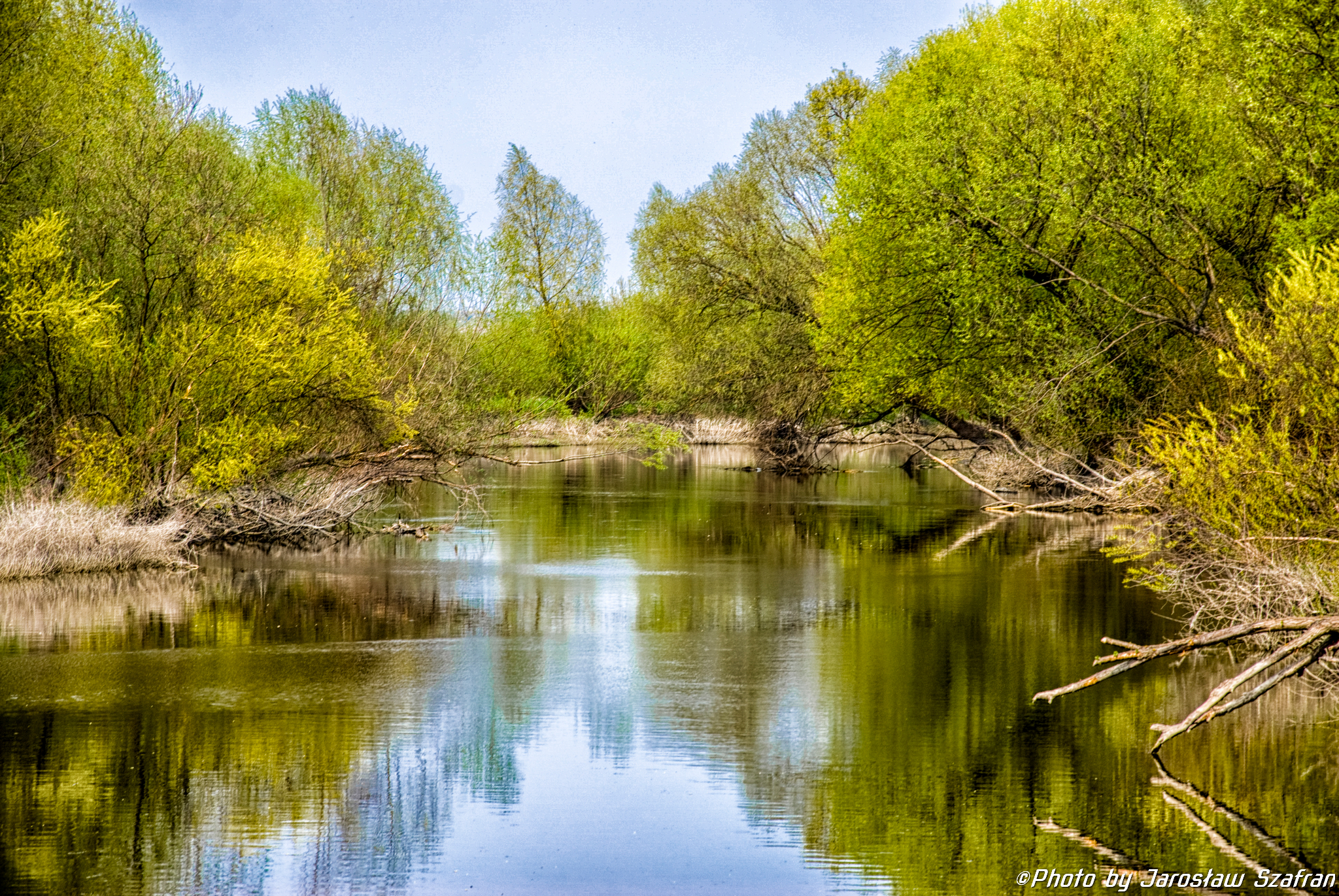 DSC_1093.jpg