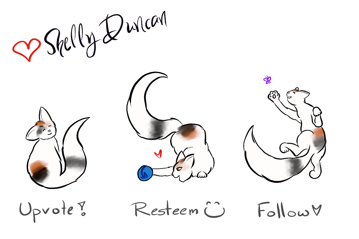 cats.png