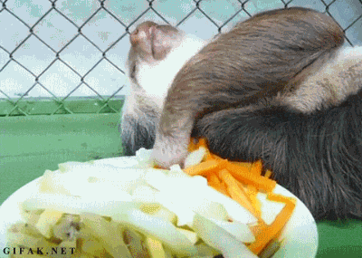 02E70413-1911-486E-9356-57B1D5B309F1.gif
