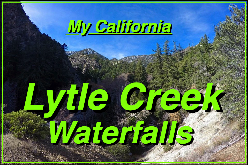 Lytle cover.png