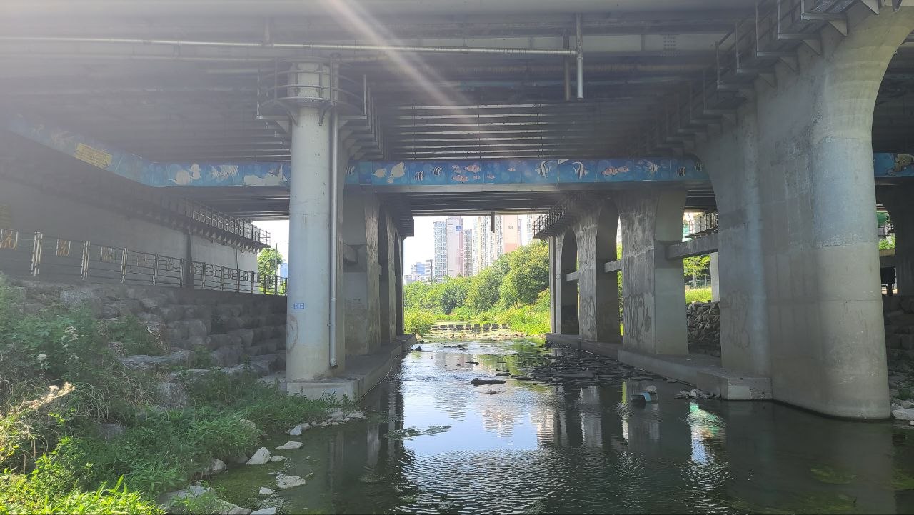 IMAGE 2026-08-16 06:35:37.jpg