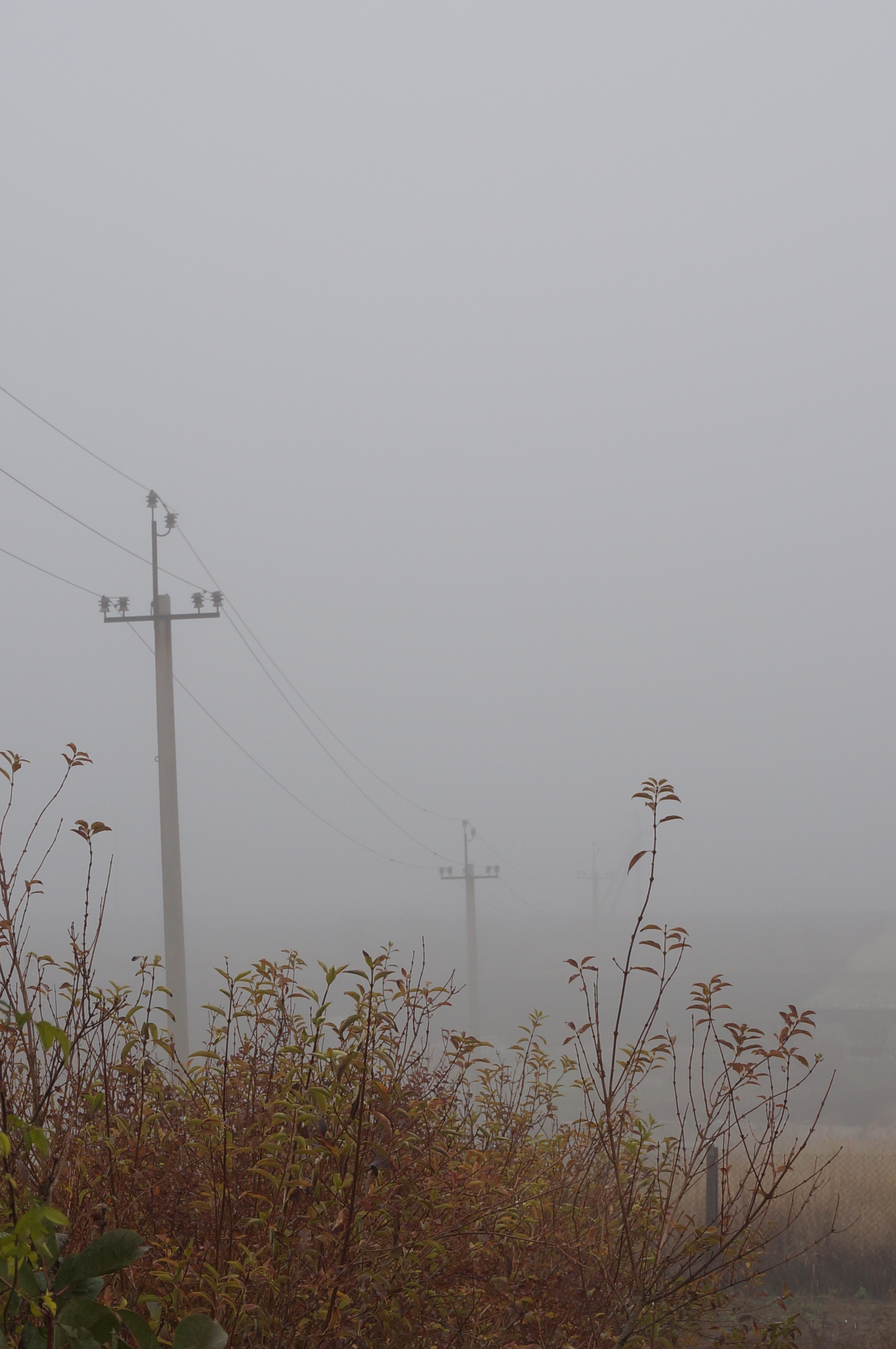 DSC015973.jpg