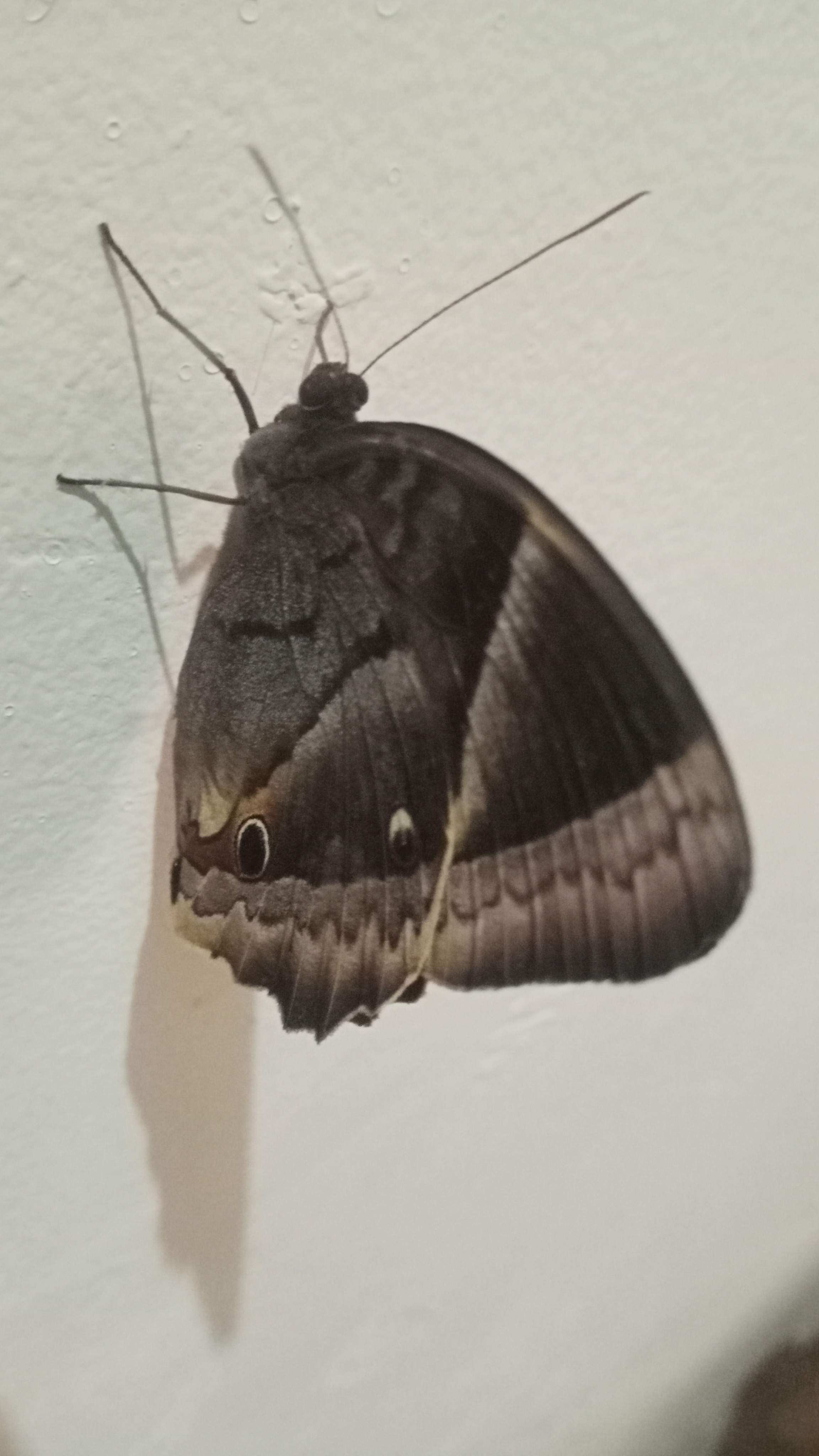 IMG20250531181947.jpg